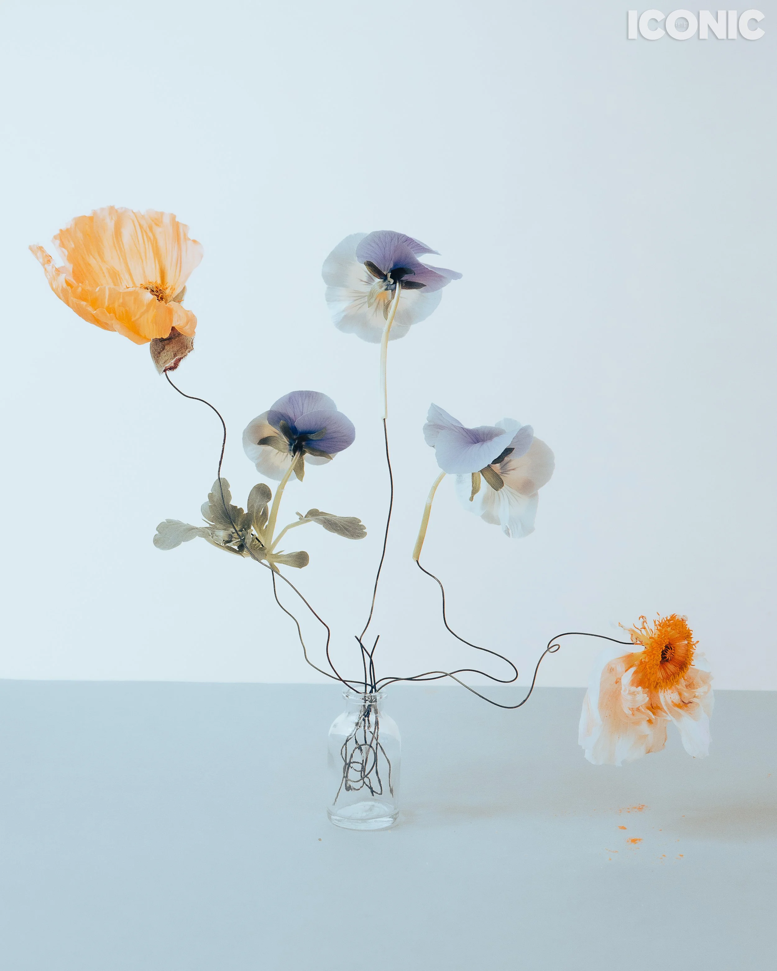 PHOTO BY
Federica Bizzarri
.