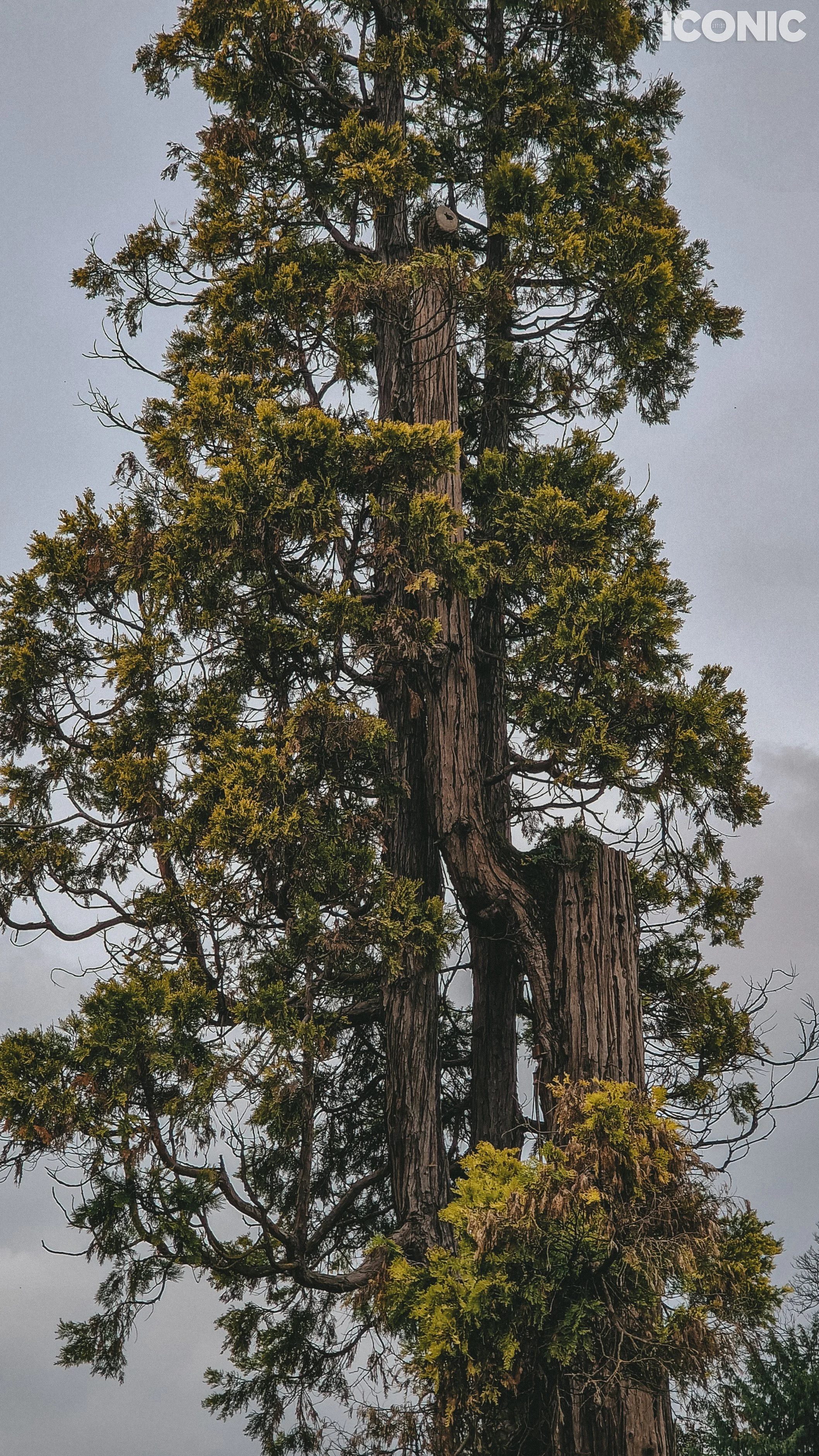 PHOTO BY
Evgeniia Razmakhnina
.