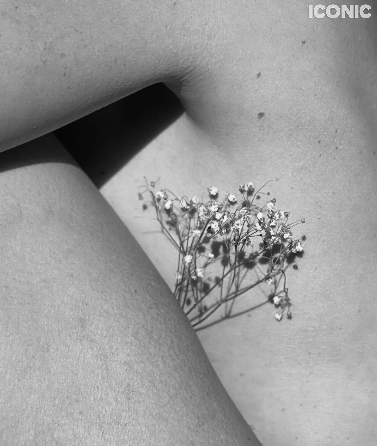 PHOTO BY
Lana Ledentson
_