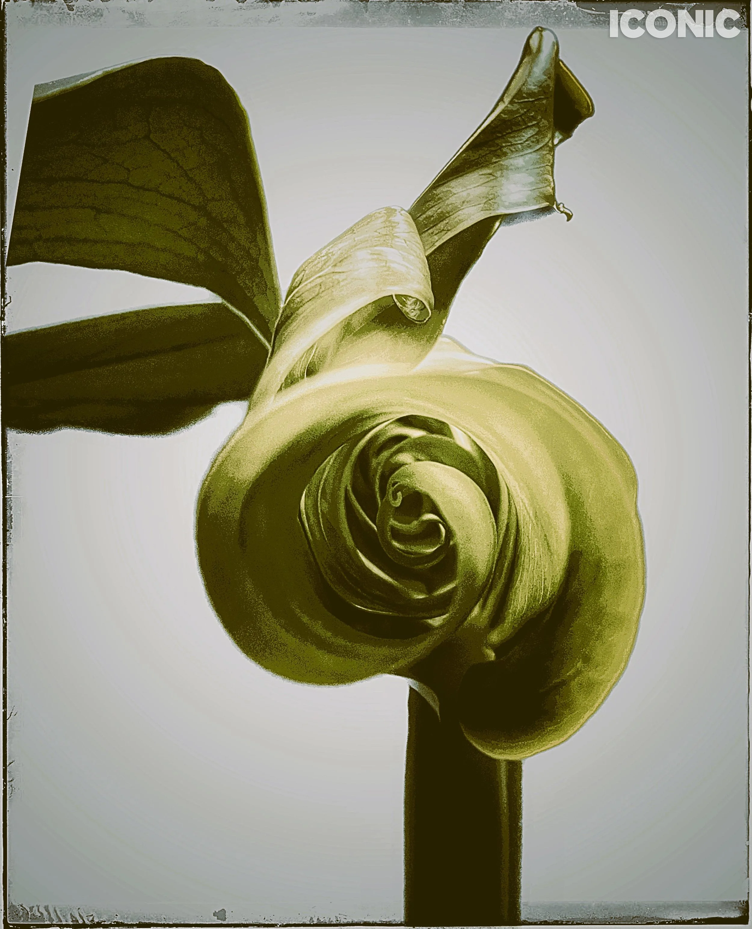 PHOTO BY
Iuliia Akhulkova
.