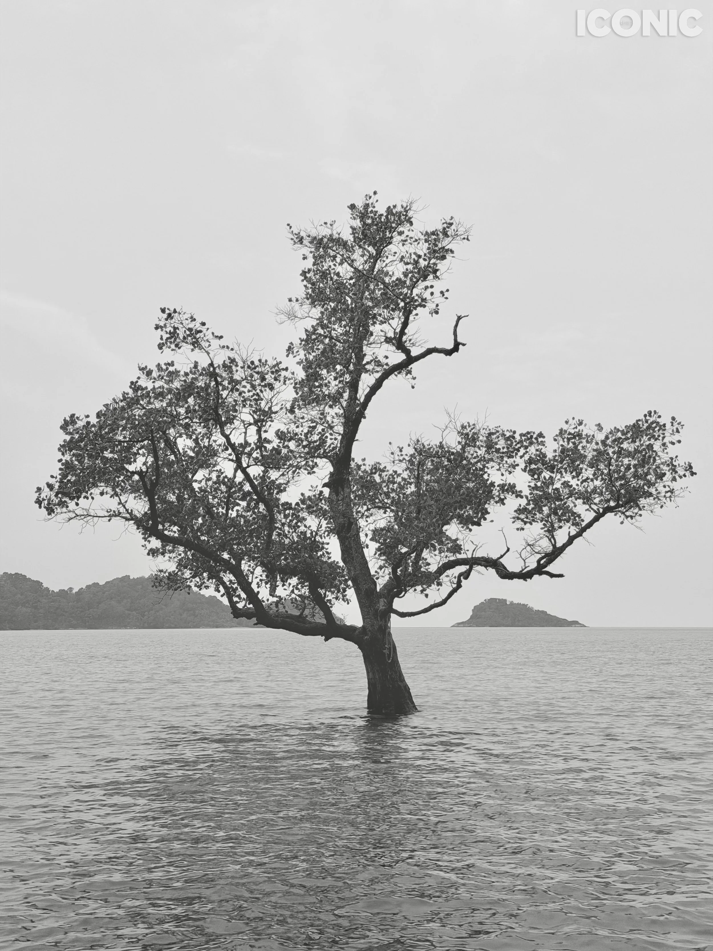 PHOTO BY
Tatyana Shevalye
.