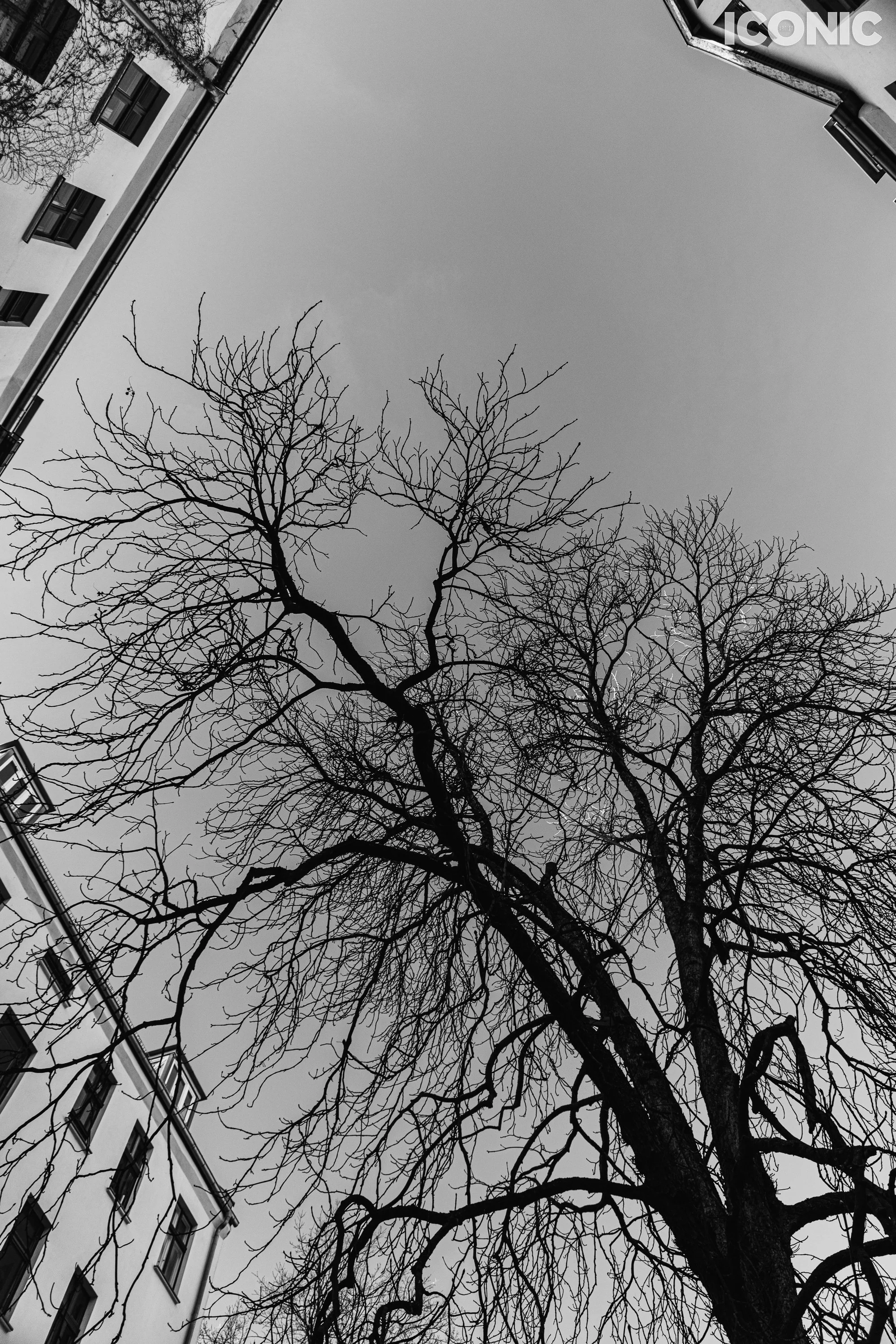 PHOTO BY
Olga Tarabukina
.