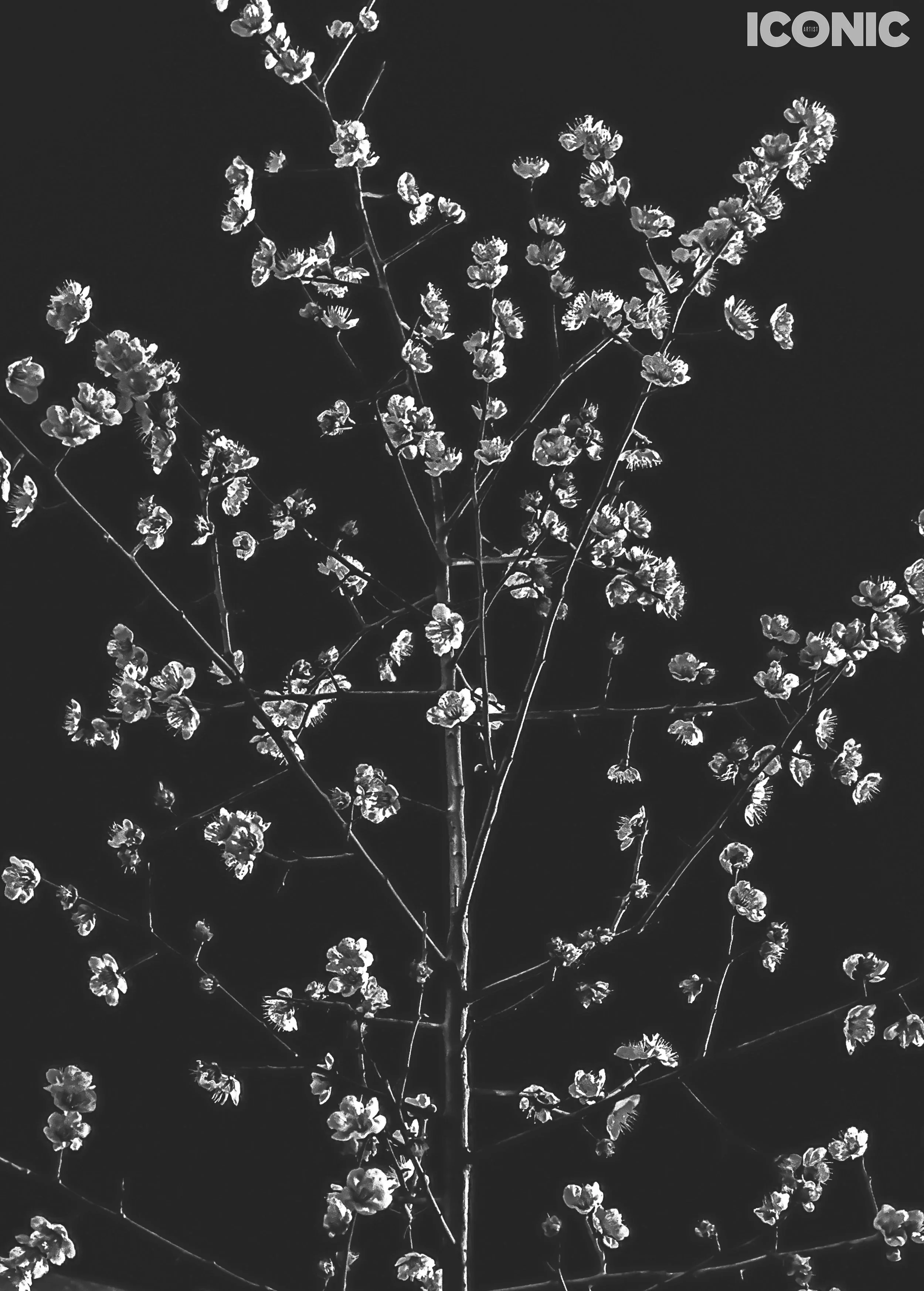 PHOTO BY
Marina Tondera
.