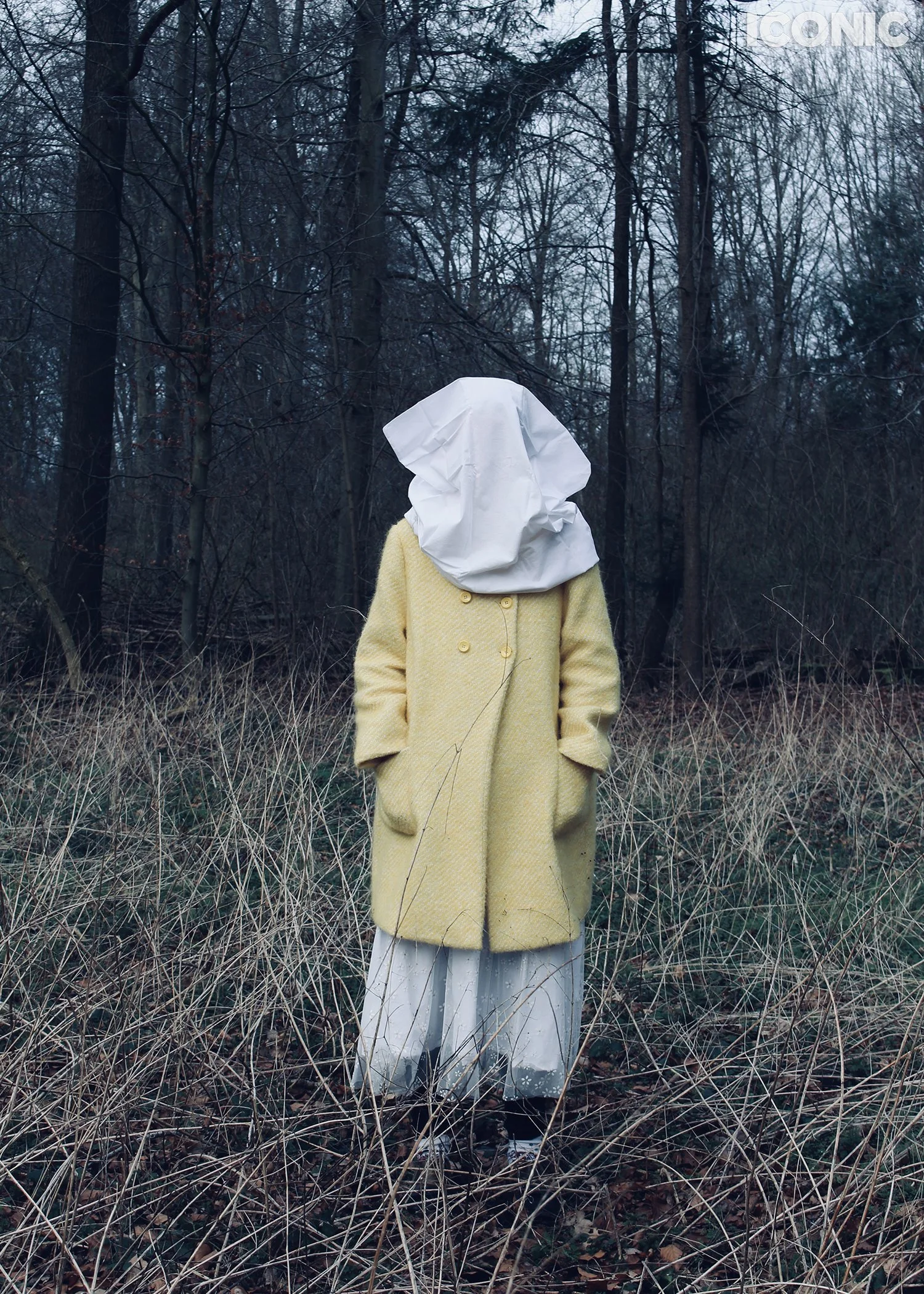 PHOTO BY
Amanda Voskuil
_