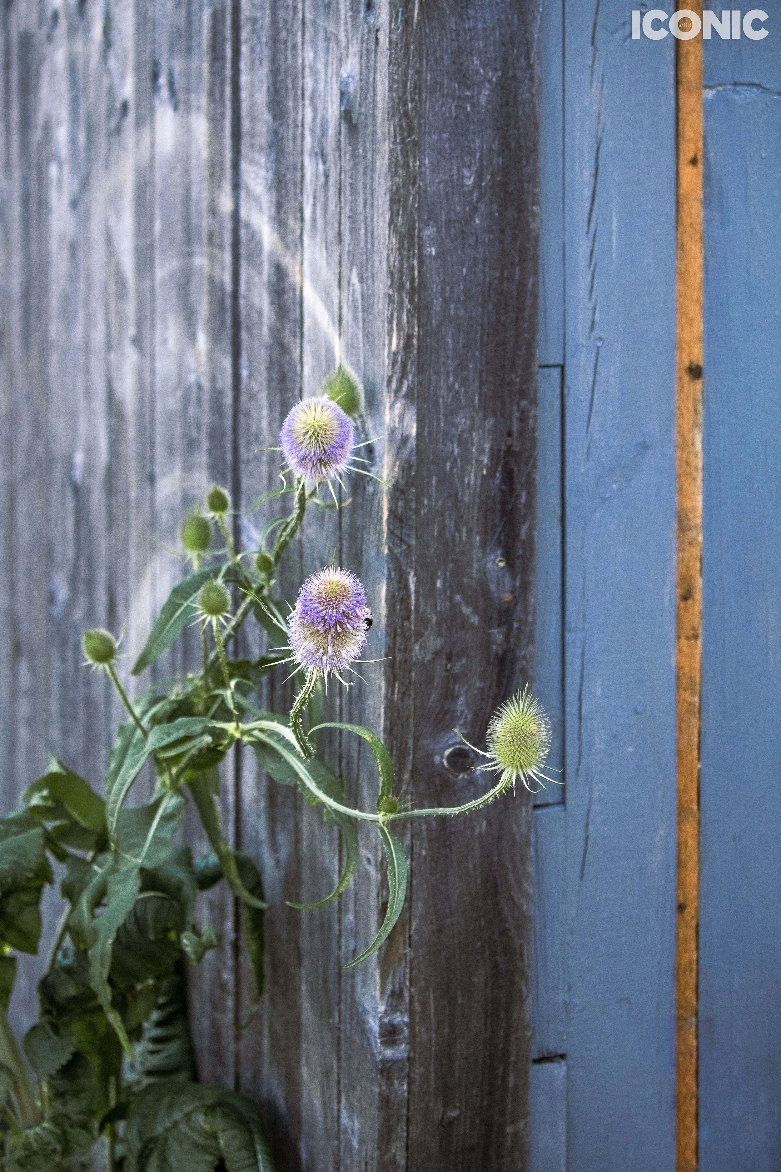 PHOTO BY
Lena Sokolova
.