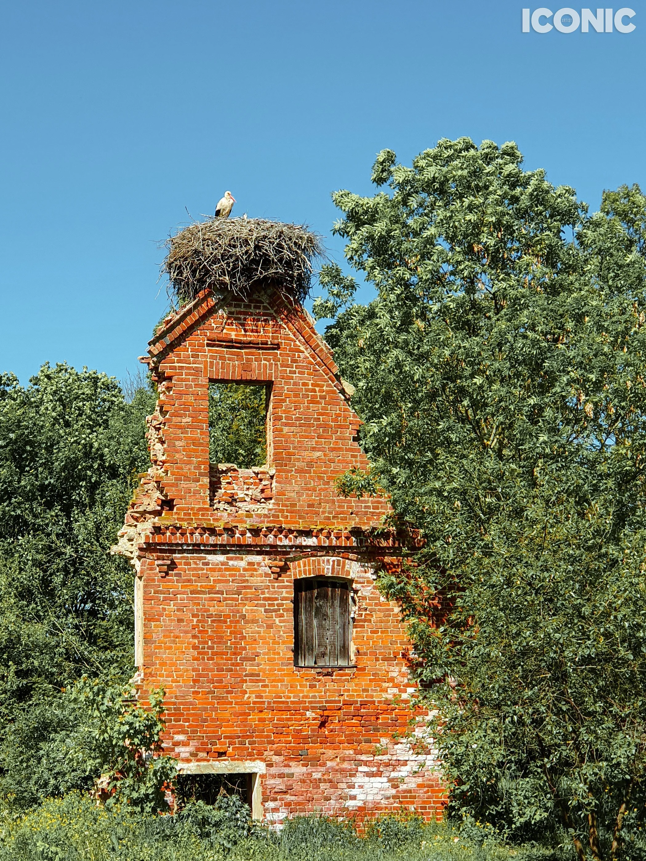 PHOTO BY
Olga Shishuk
.