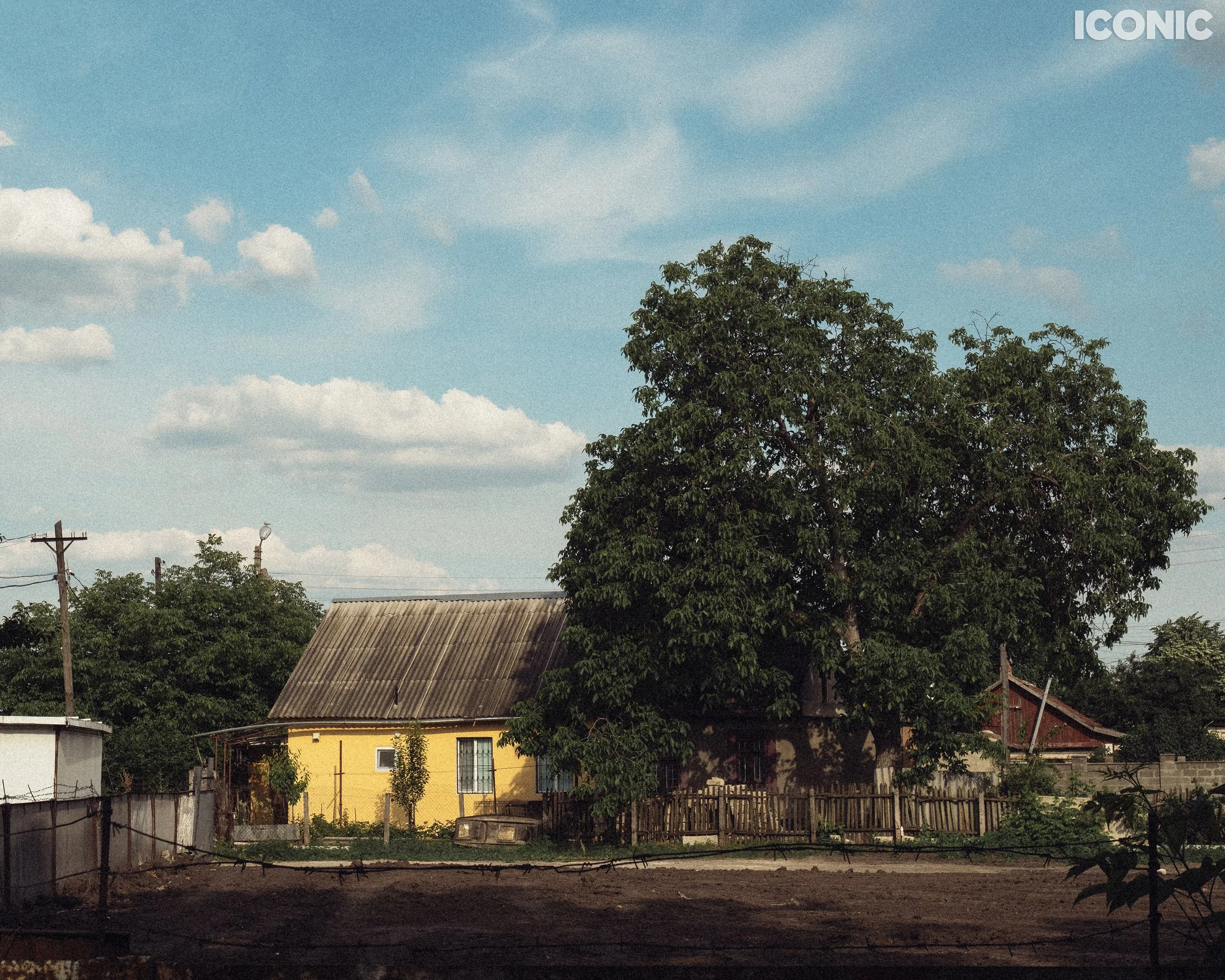 PHOTO BY
Dmitri Bordeniuc
.