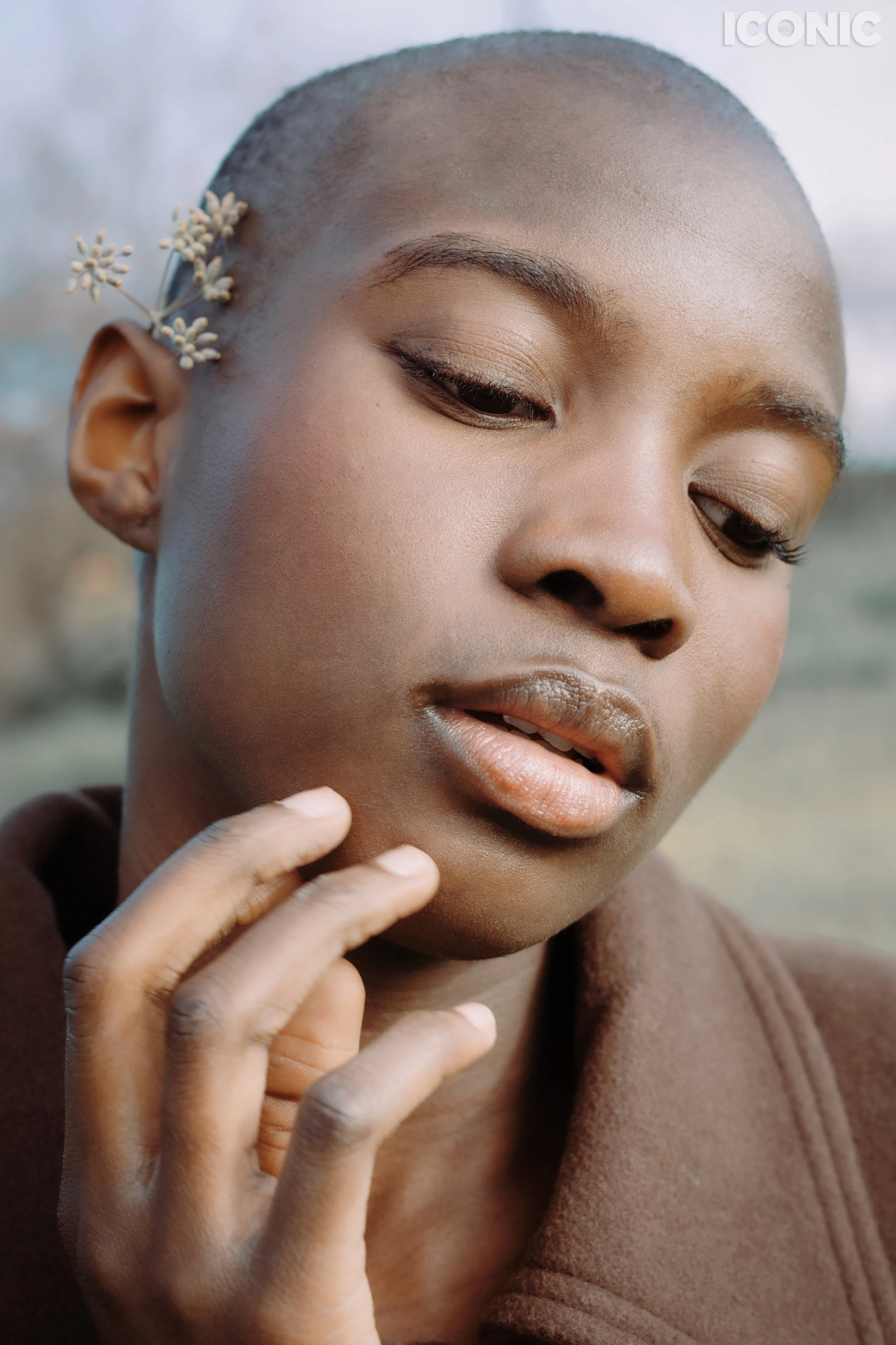 PHOTO BY
Tina Colaninno
.