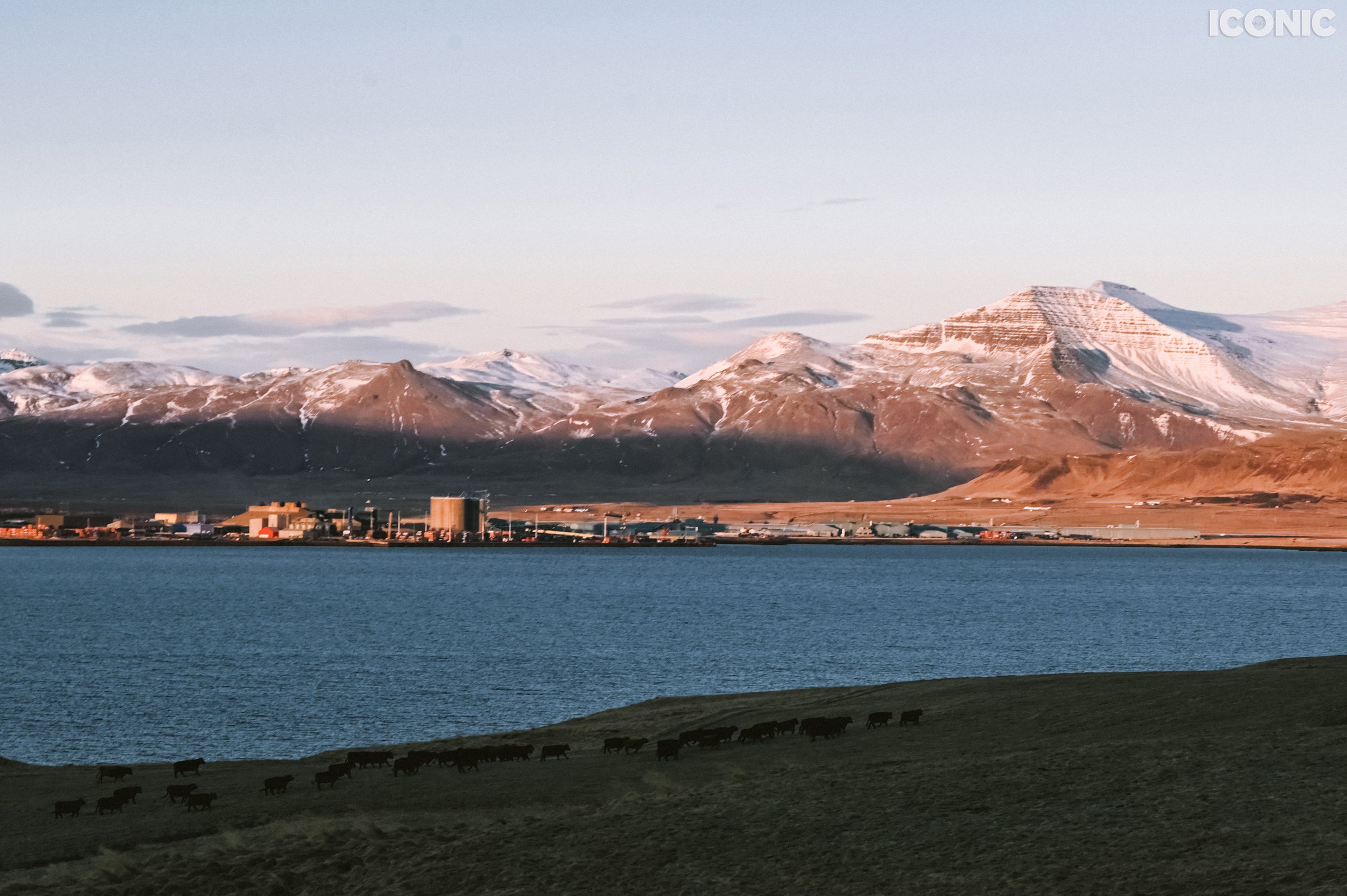 PHOTO BY
Anastasia Sotchenko
.