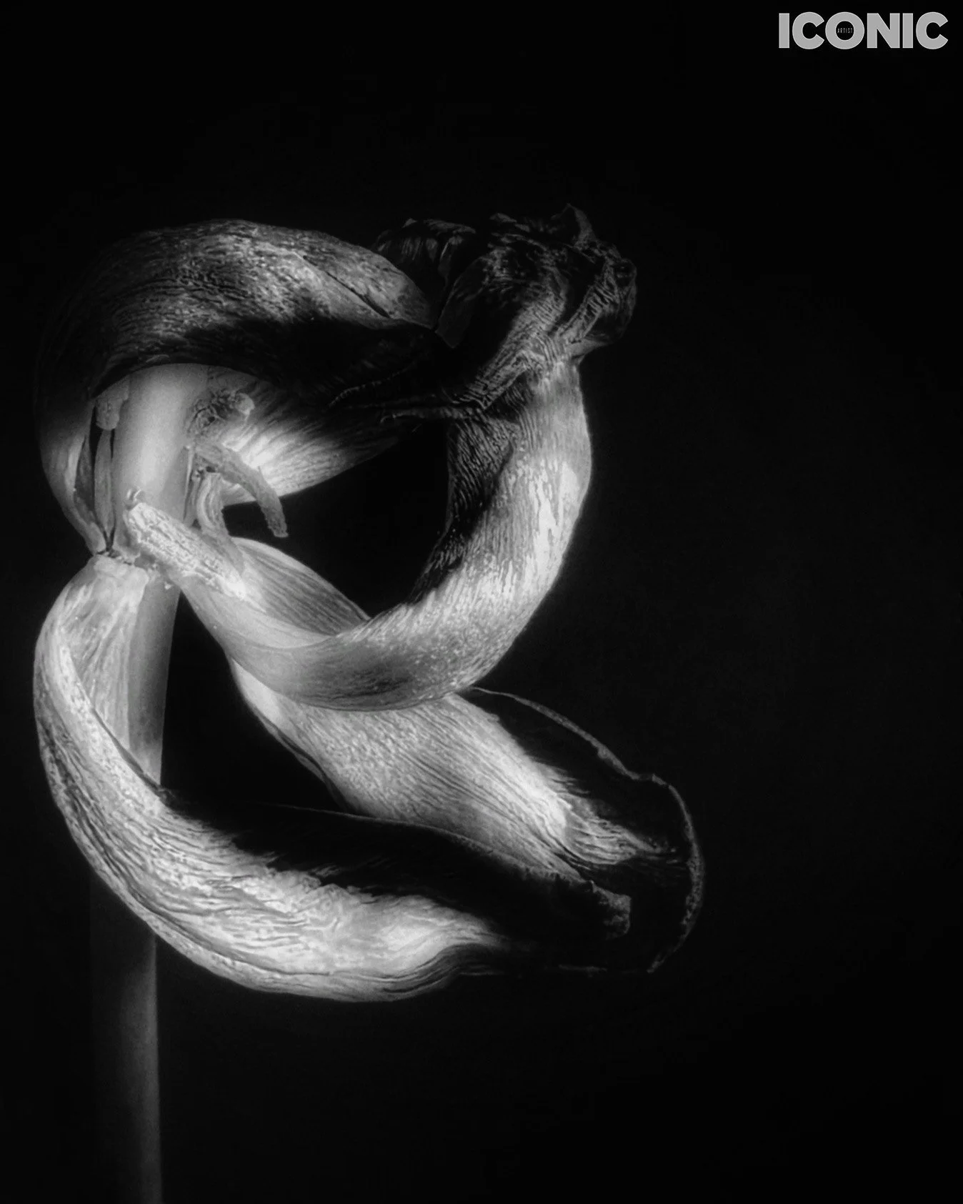 PHOTO BY
Aleksandra Kropivka
.