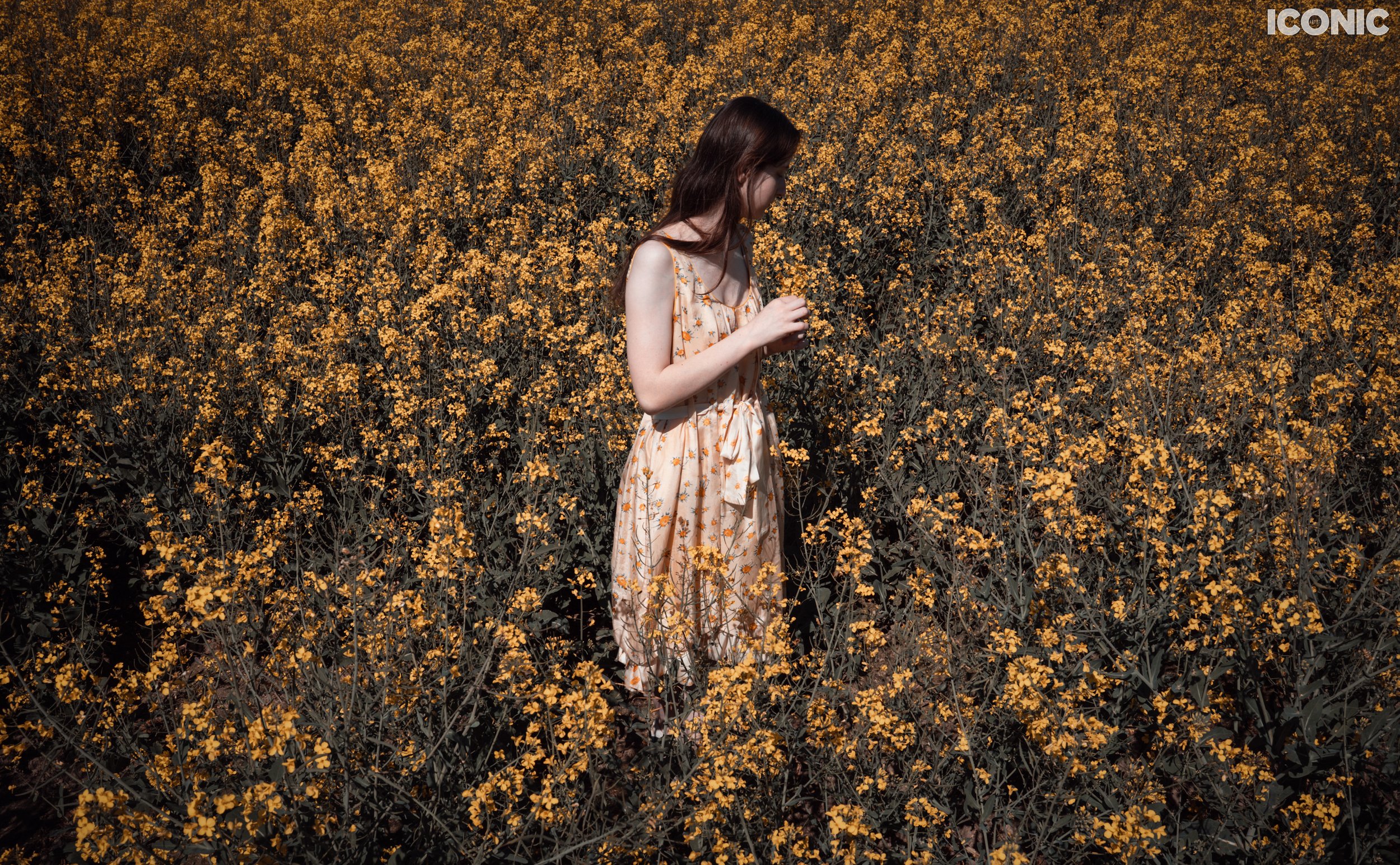 PHOTO BY
Marina Tondera
.