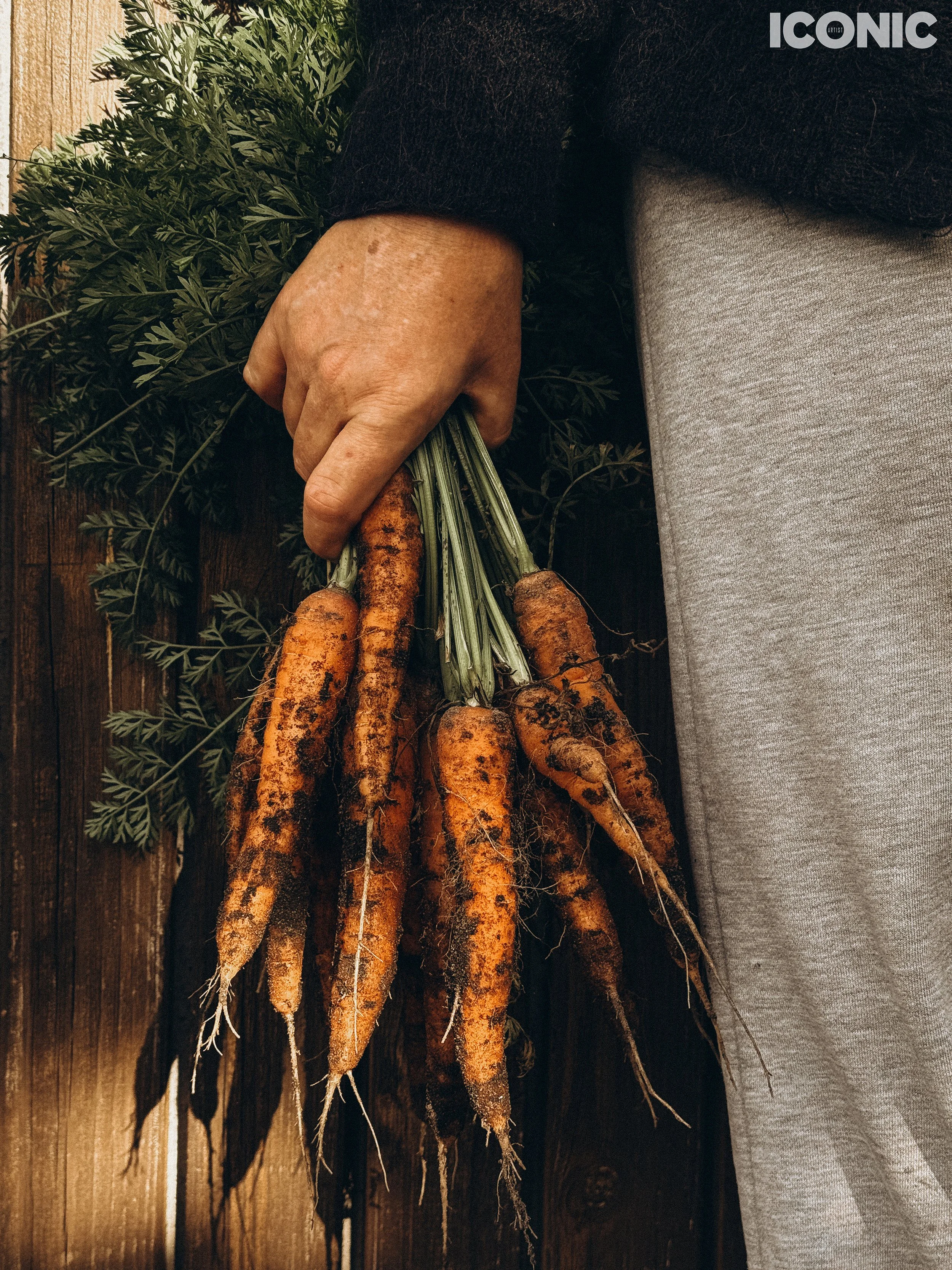 PHOTO BY
Liidia Klemmer
.