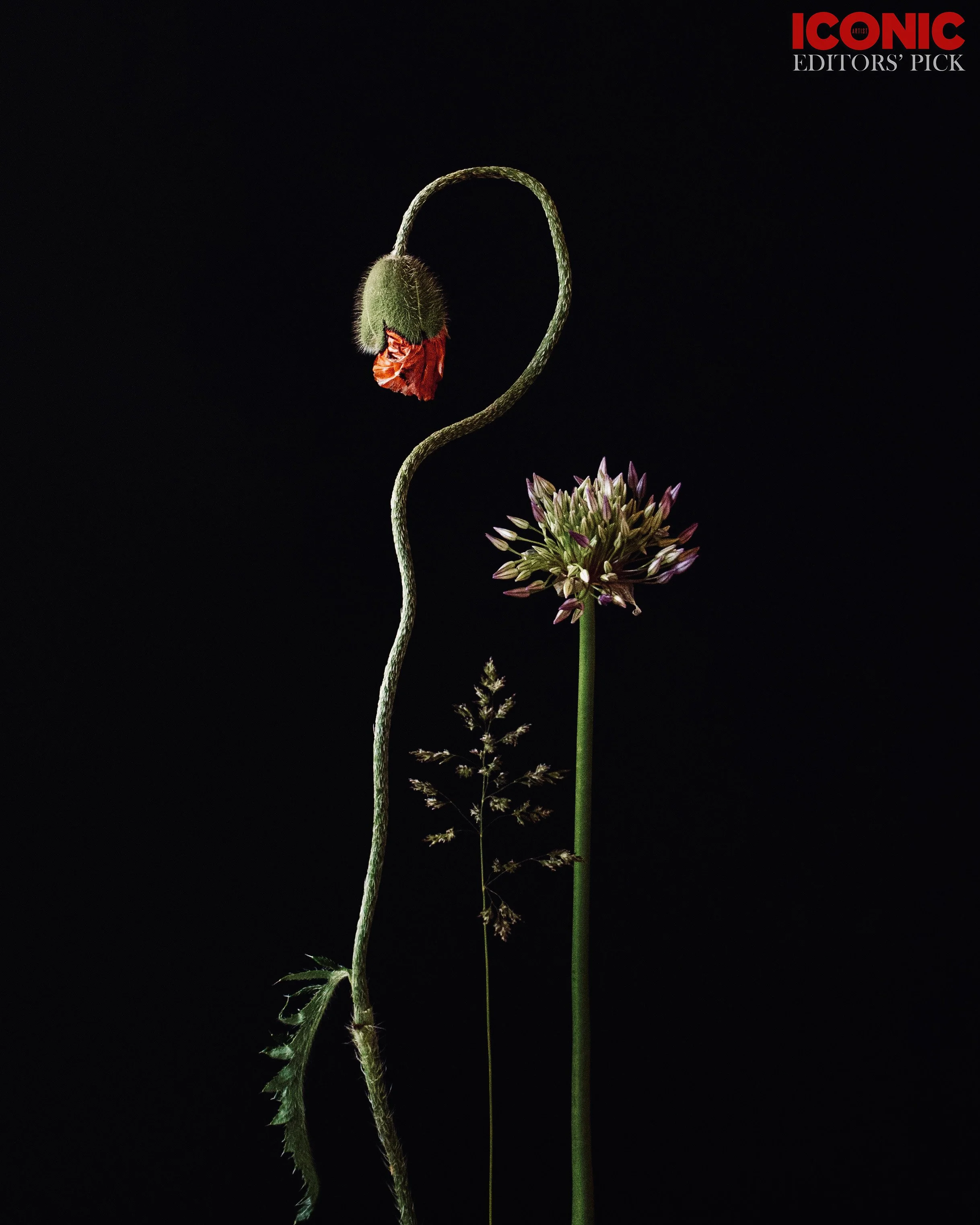 PHOTO BY
Marina Uglanova
.