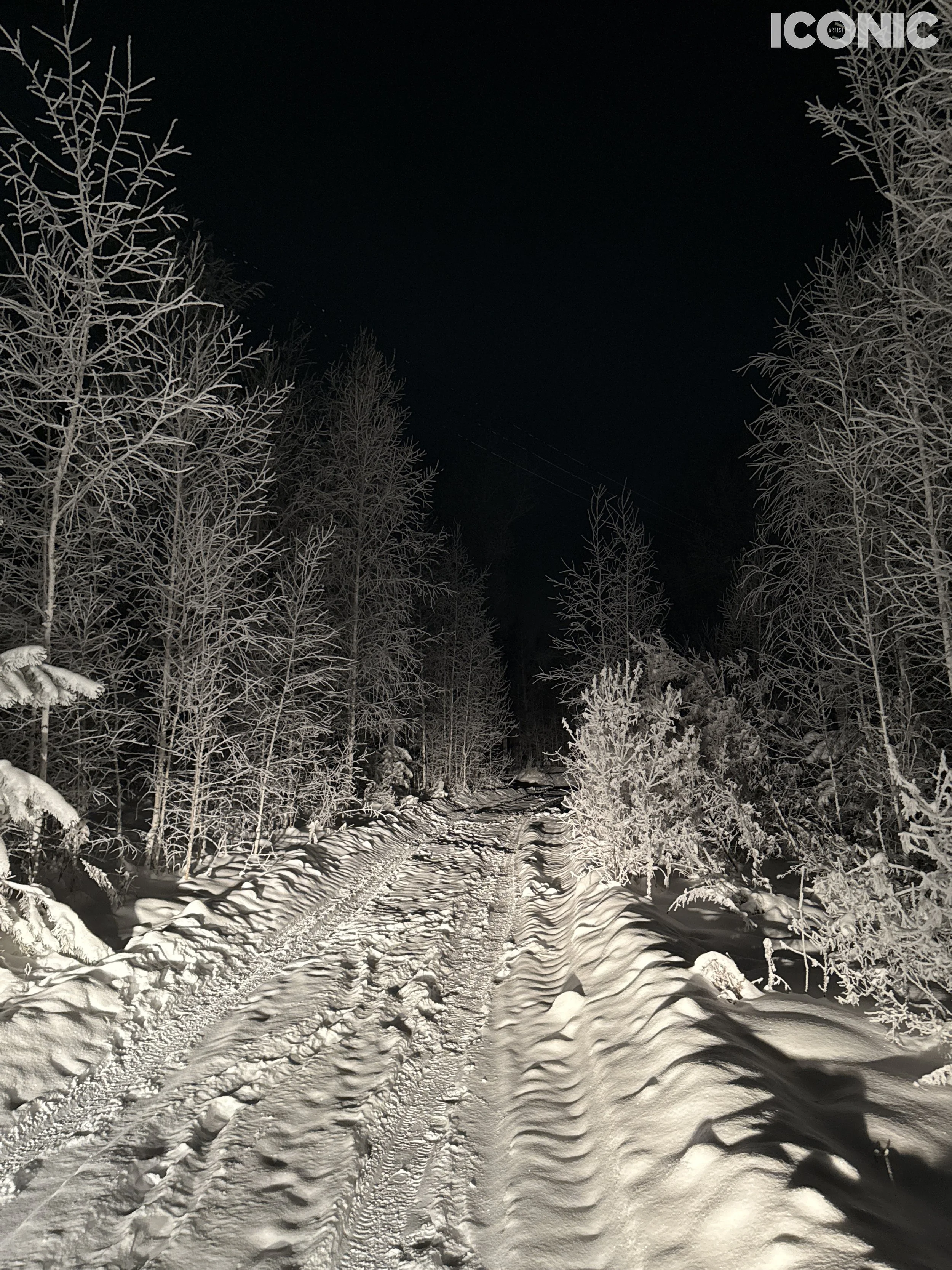 PHOTO BY
Nadezhda Yablokova
.