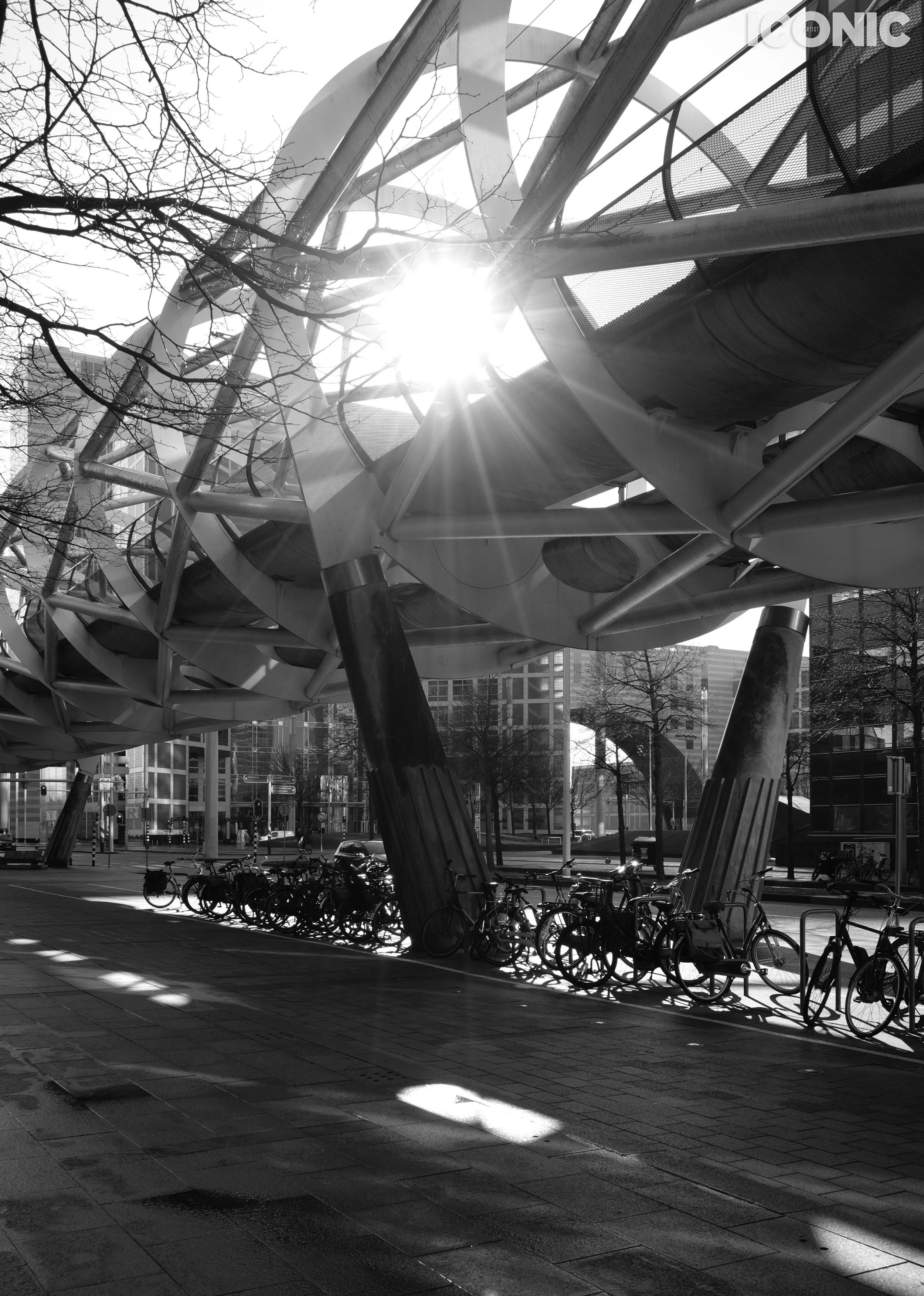 PHOTO BY
Tatiana Bigun
.