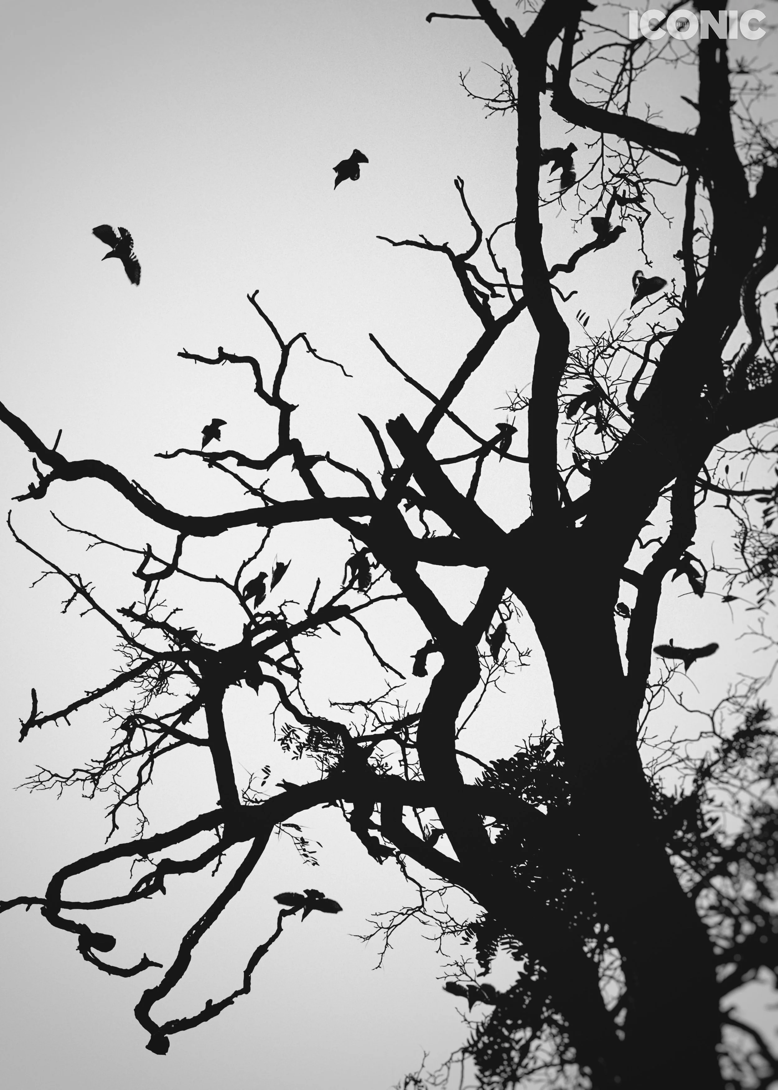 PHOTO BY
Anna Adamenko
.