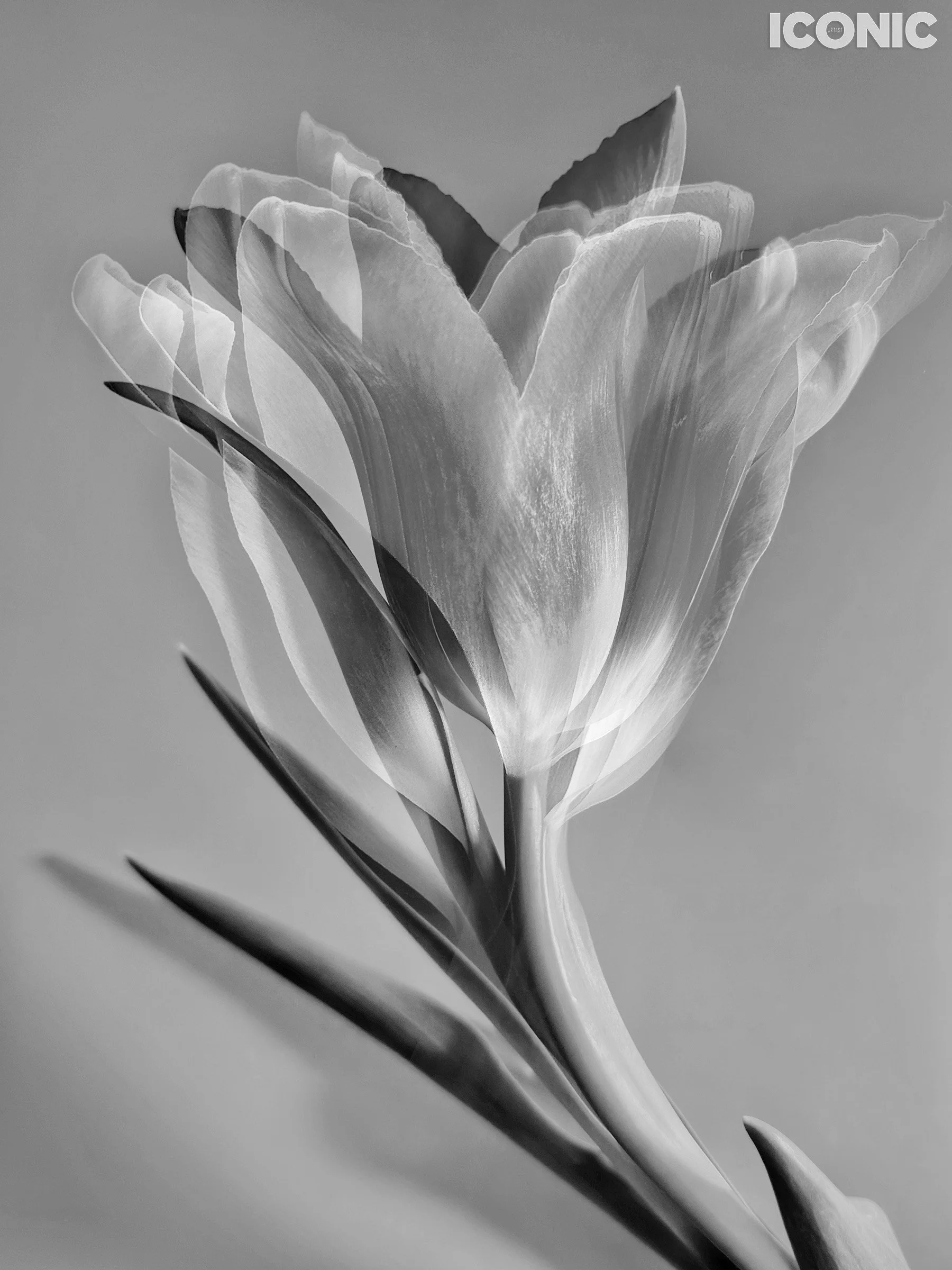 PHOTO BY
Marina Tanaeva
.