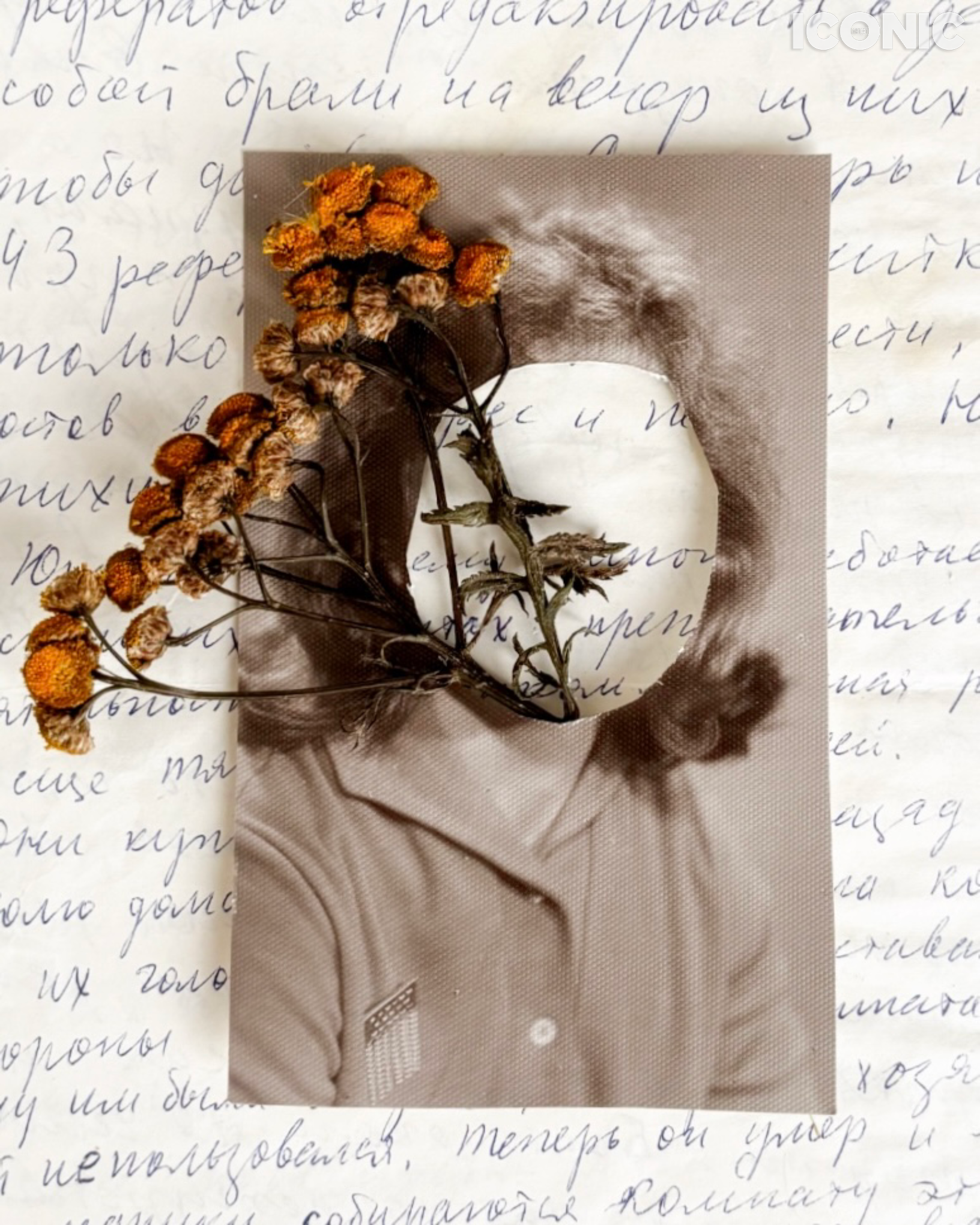 PHOTO BY
Inna Sknara
.