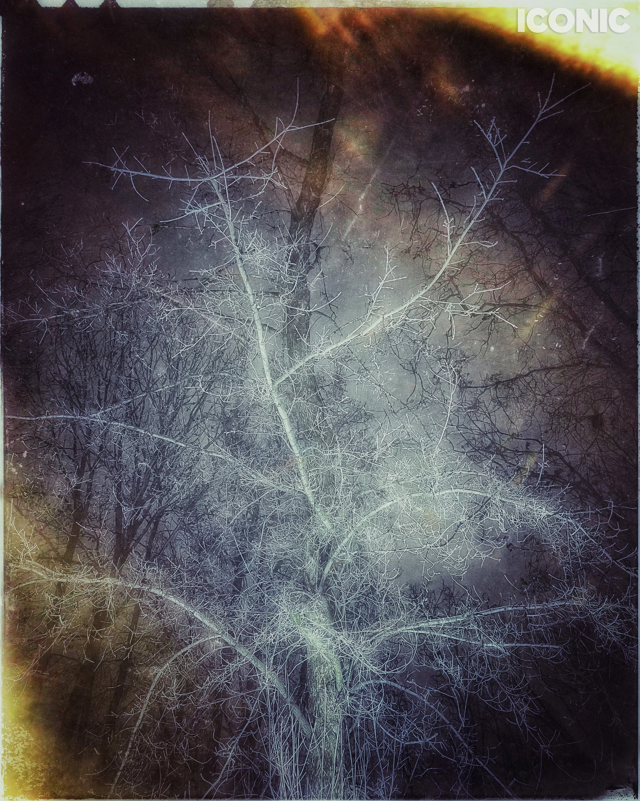 PHOTO BY
Iuliia Akhulkova
.