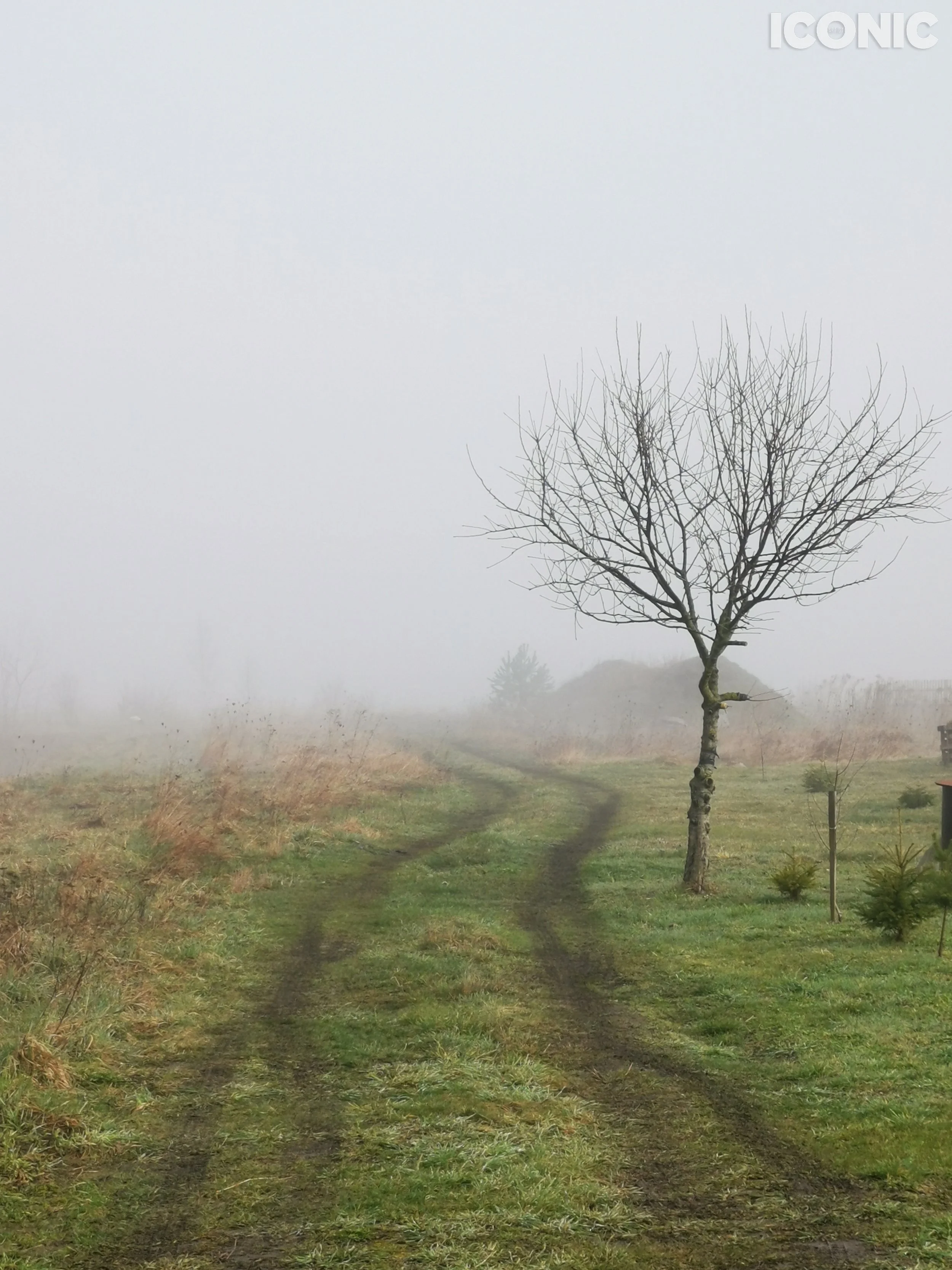 PHOTO BY
Shipovitchs Tatsiana
.