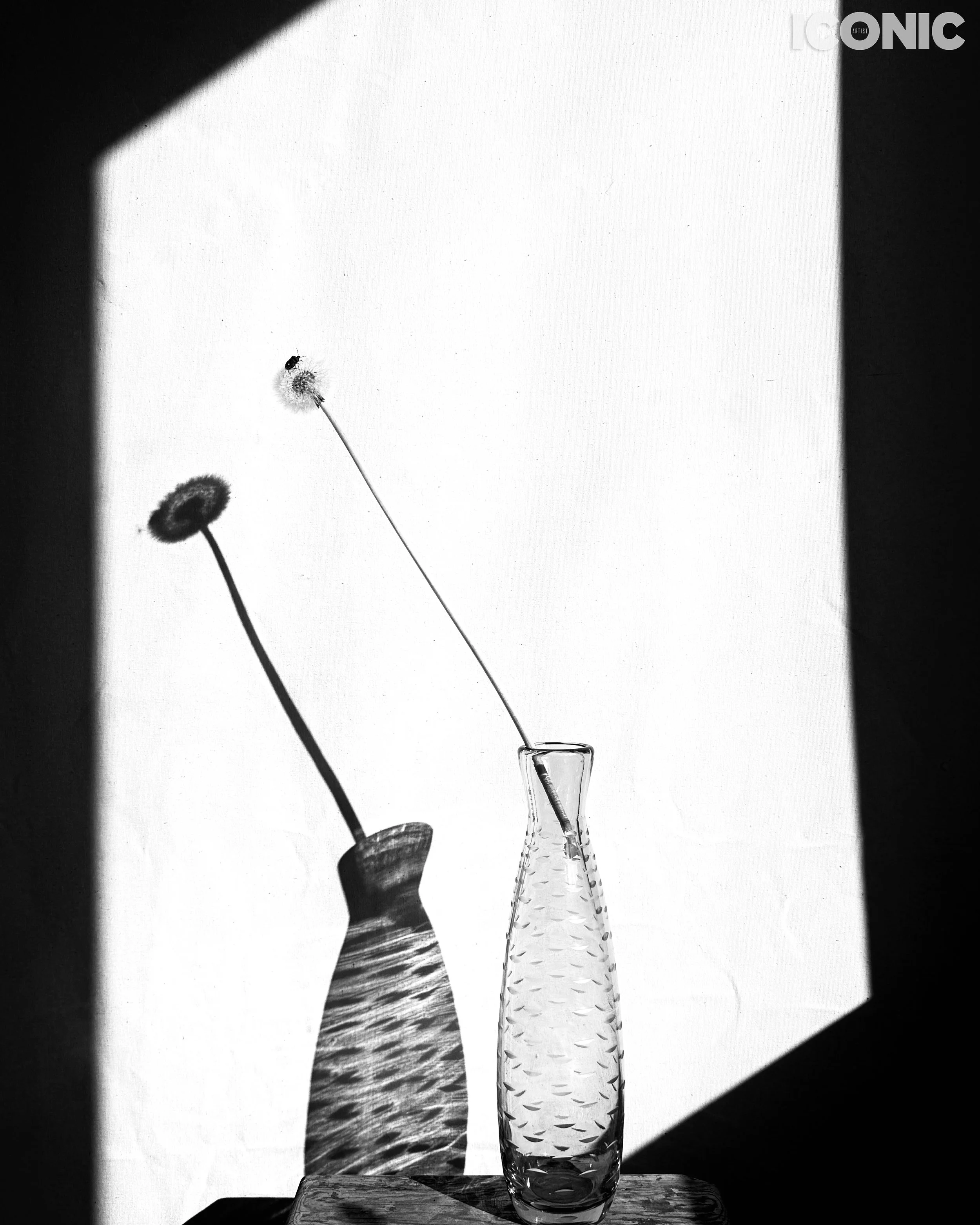 PHOTO BY
Marina Uglanova
.