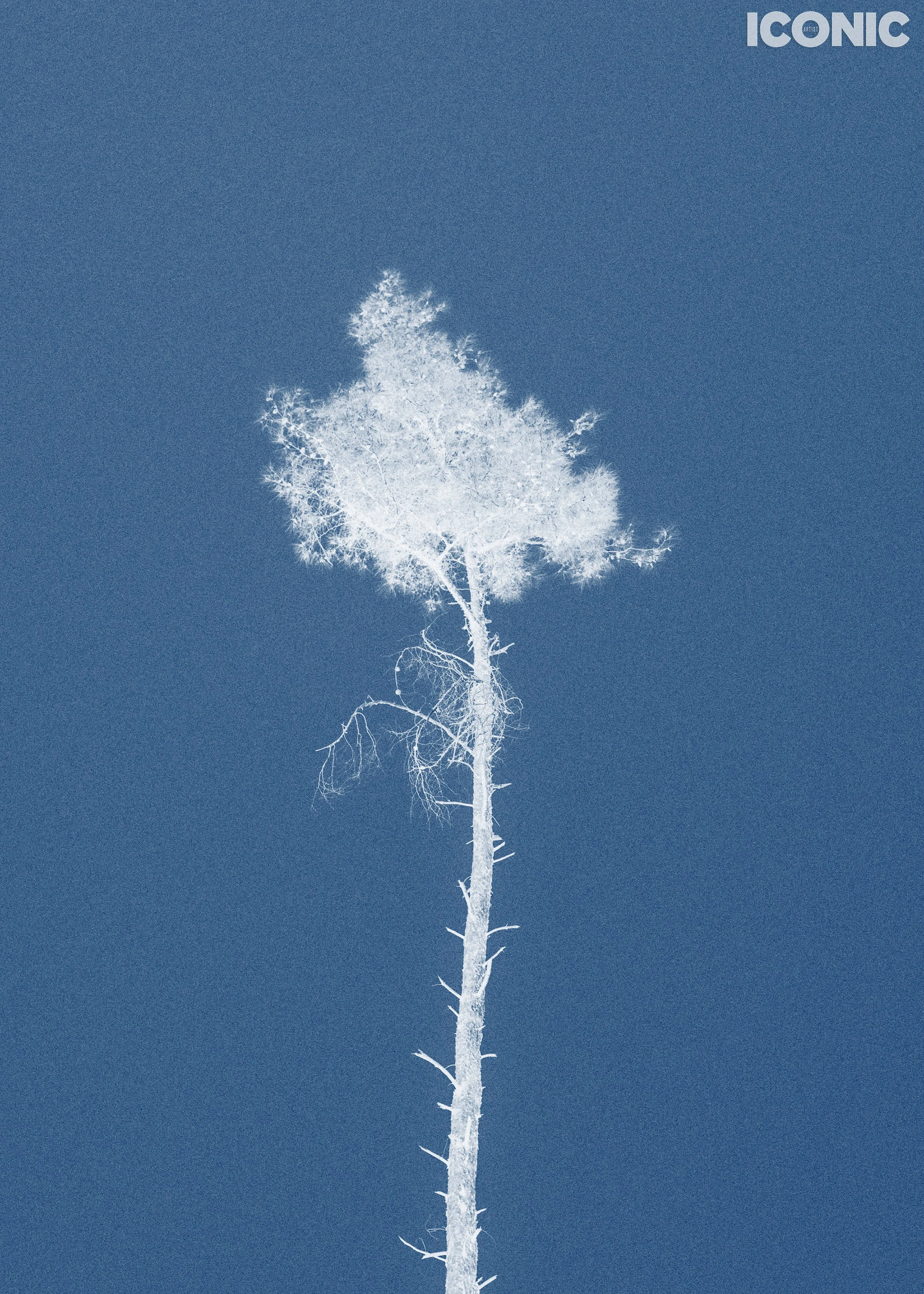 PHOTO BY
Anna Strelzov
.