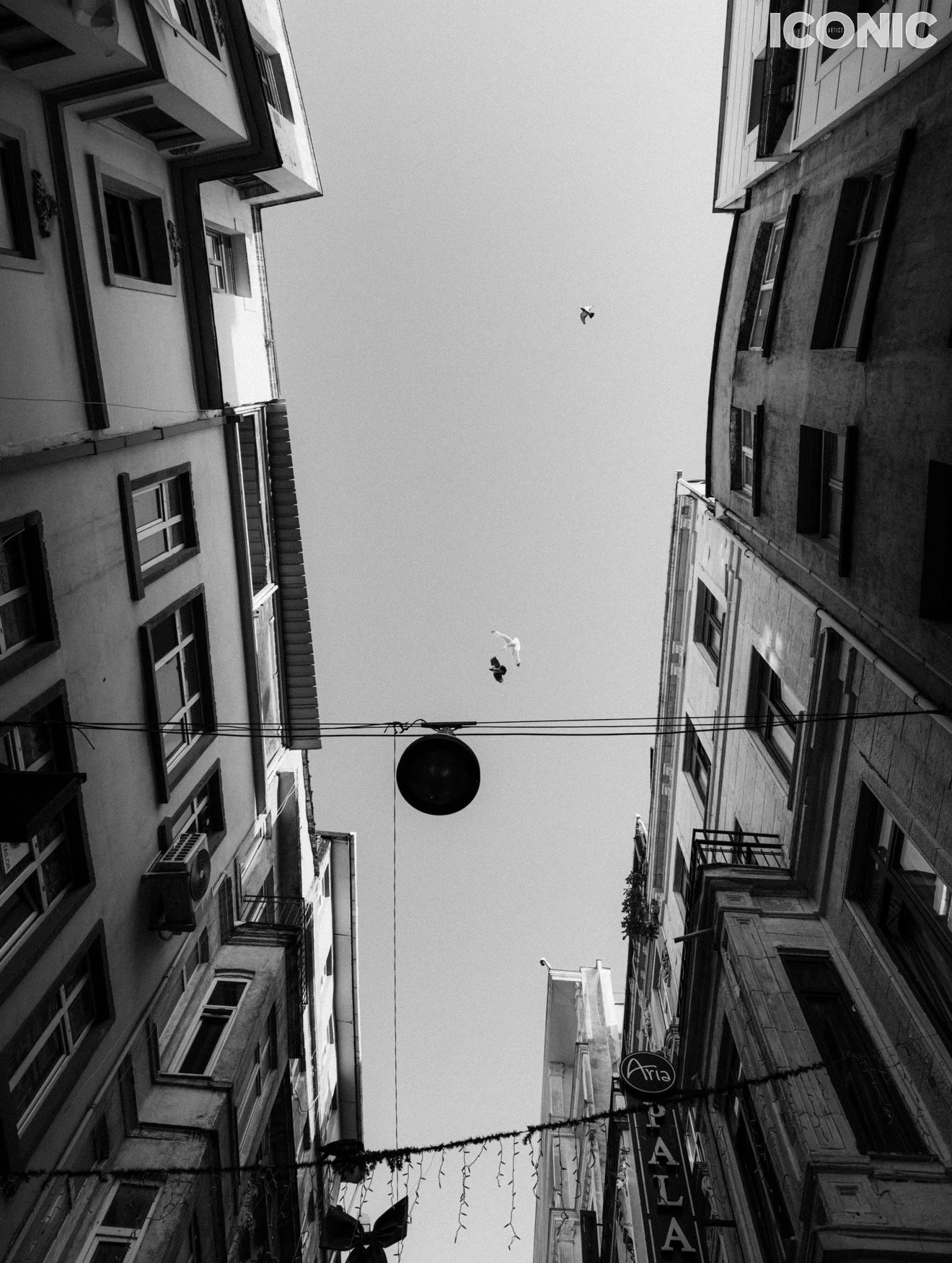 PHOTO BY
Elena Manakova
.