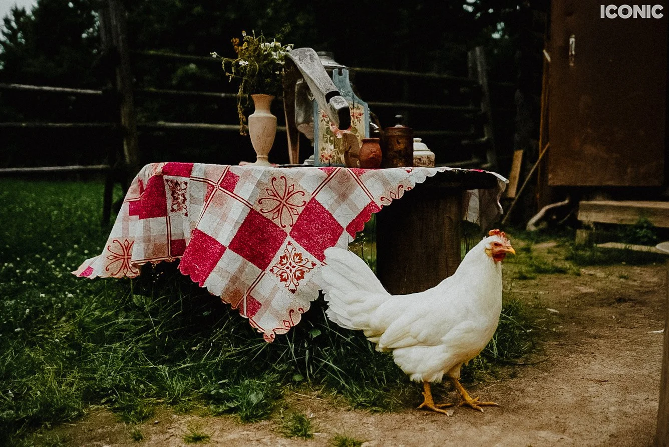 PHOTO BY
Irina Lomova
.