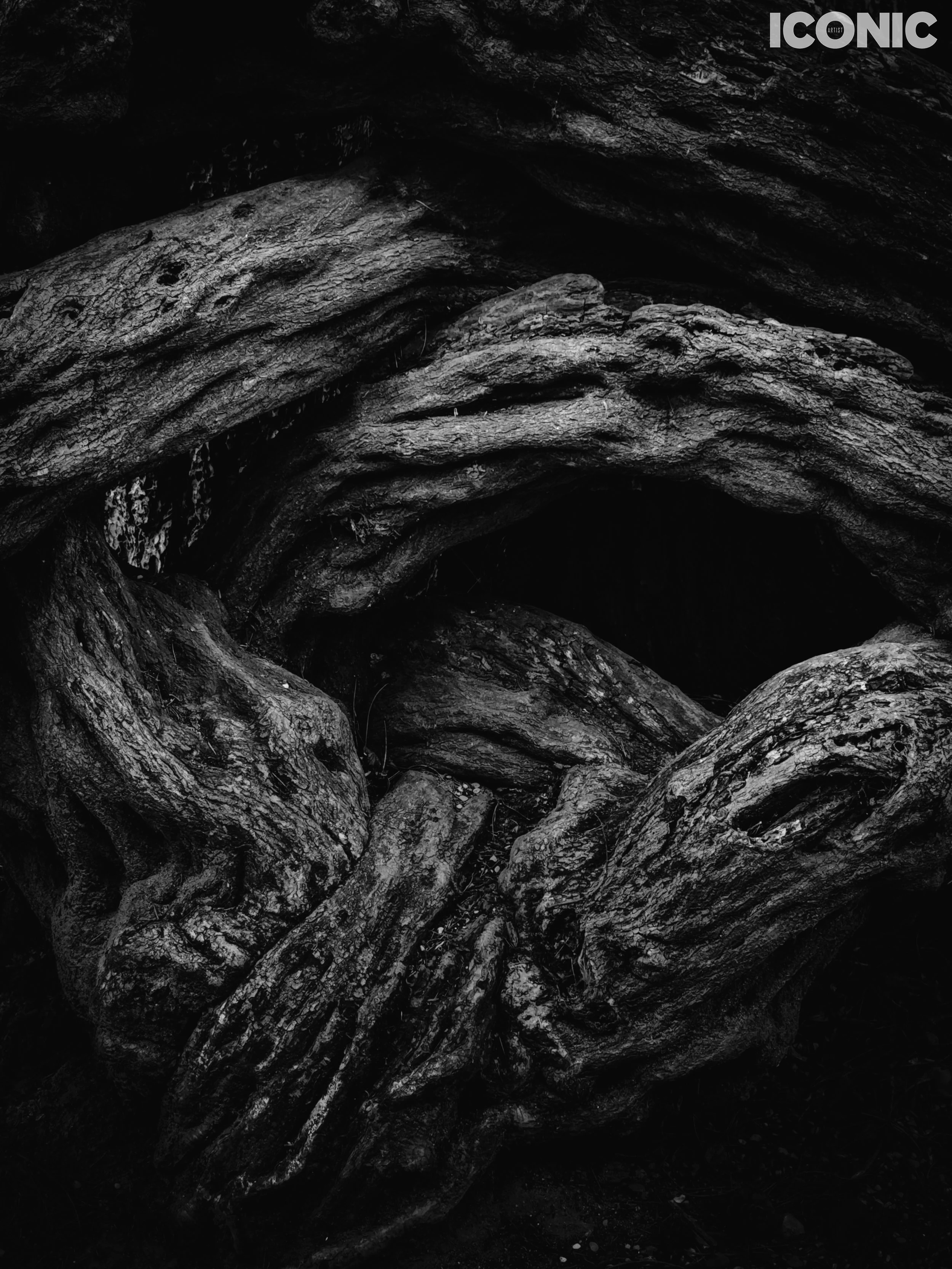 PHOTO BY
Alexa Rybinkina
.