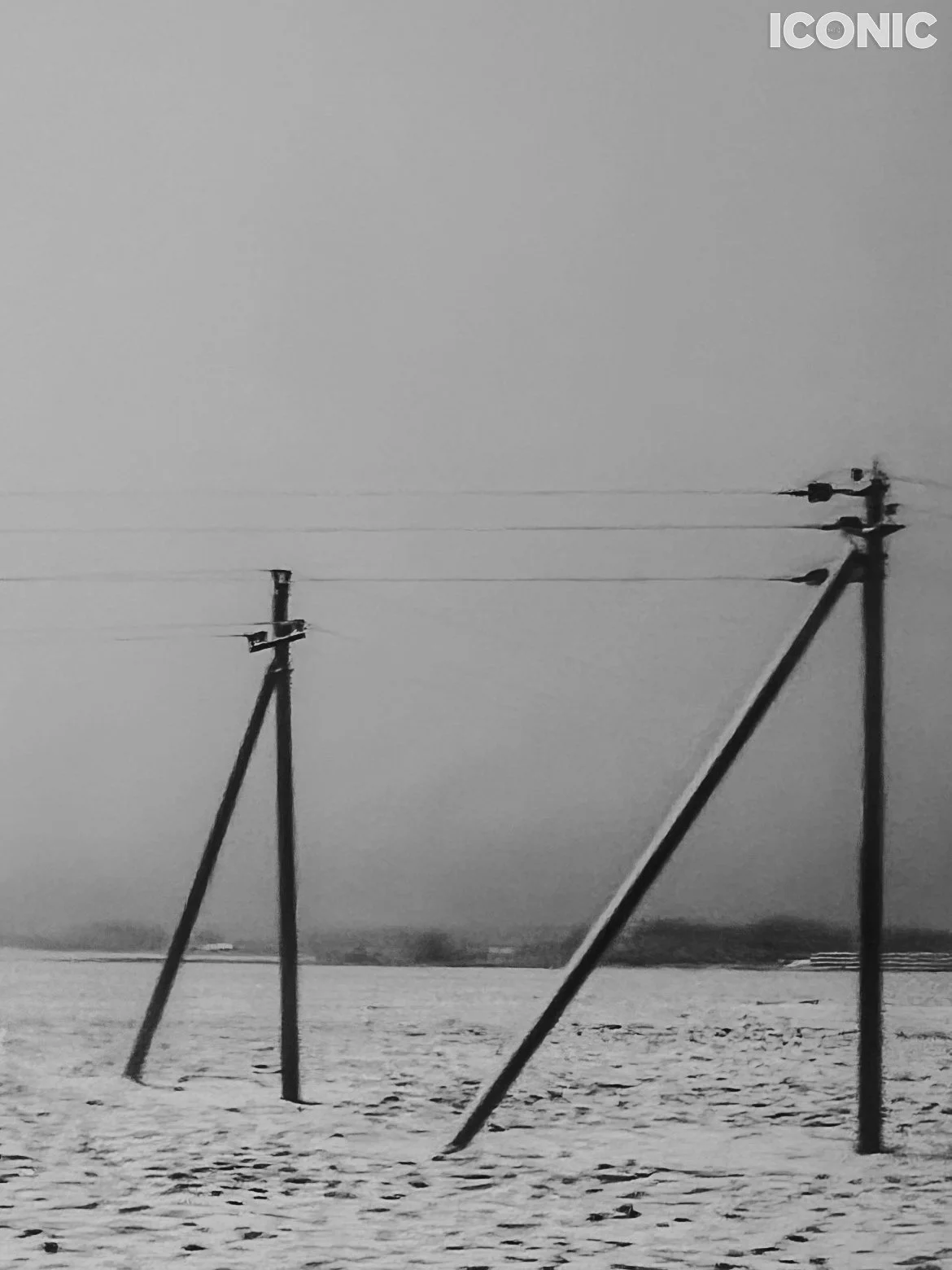 PHOTO BY
Volha Barkouskaia
.