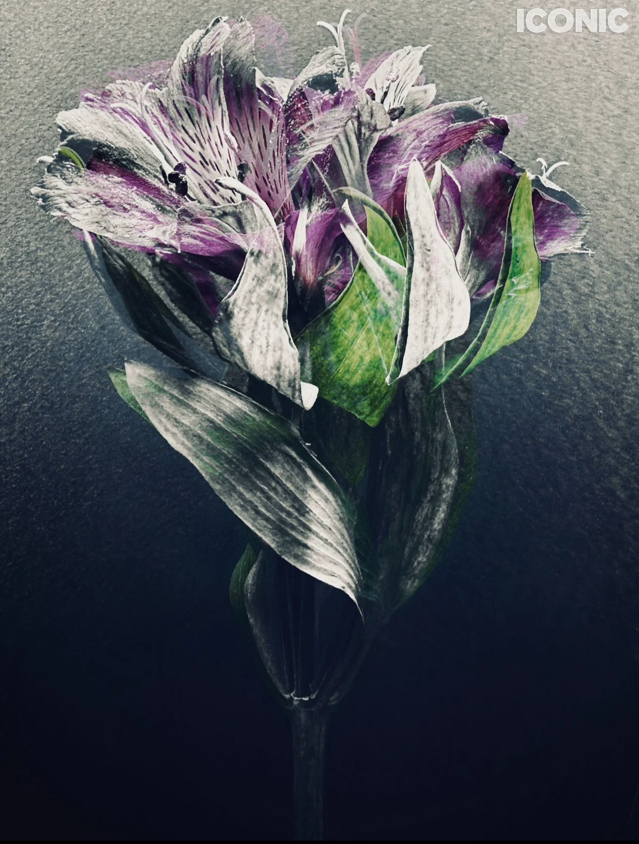 PHOTO BY
Marina Tanaeva
.