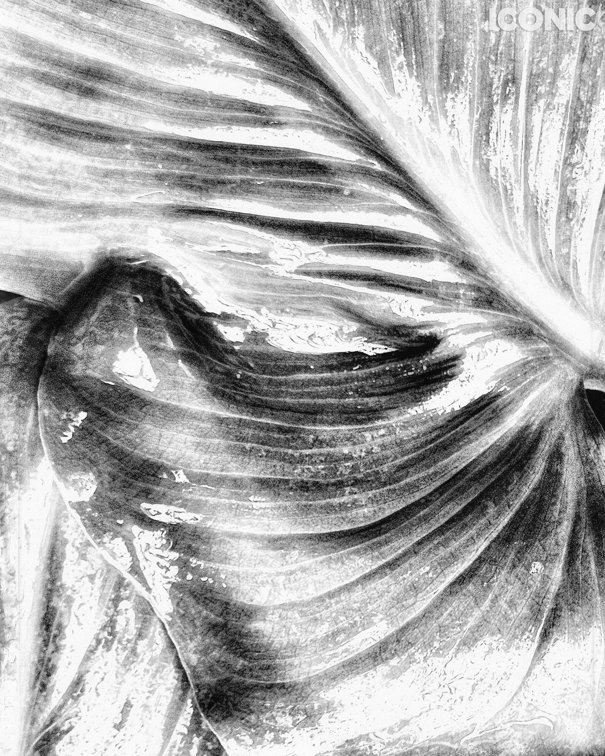 PHOTO BY
Alexandra Sergeeva
.