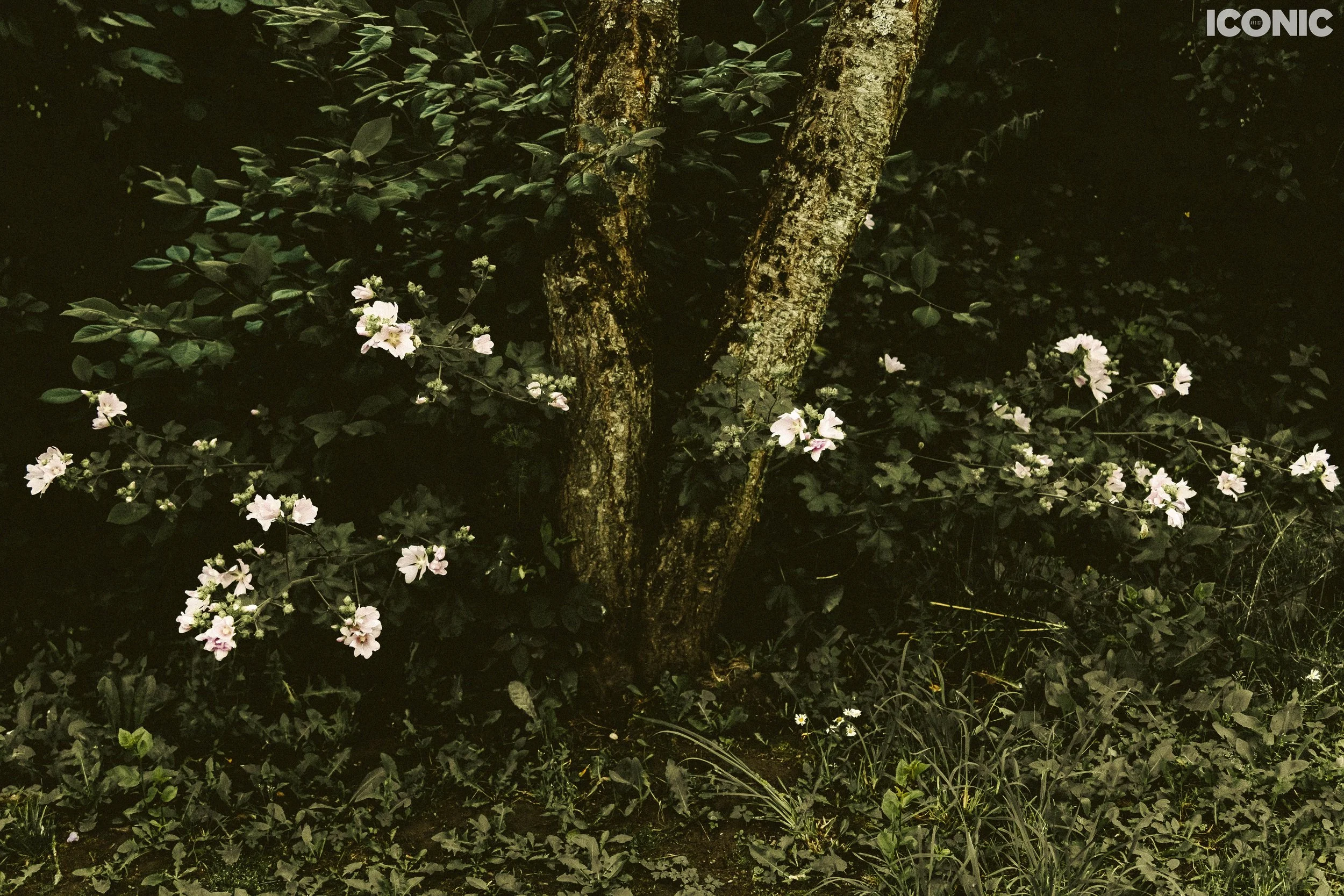 PHOTO BY
Lena Sokolova
.