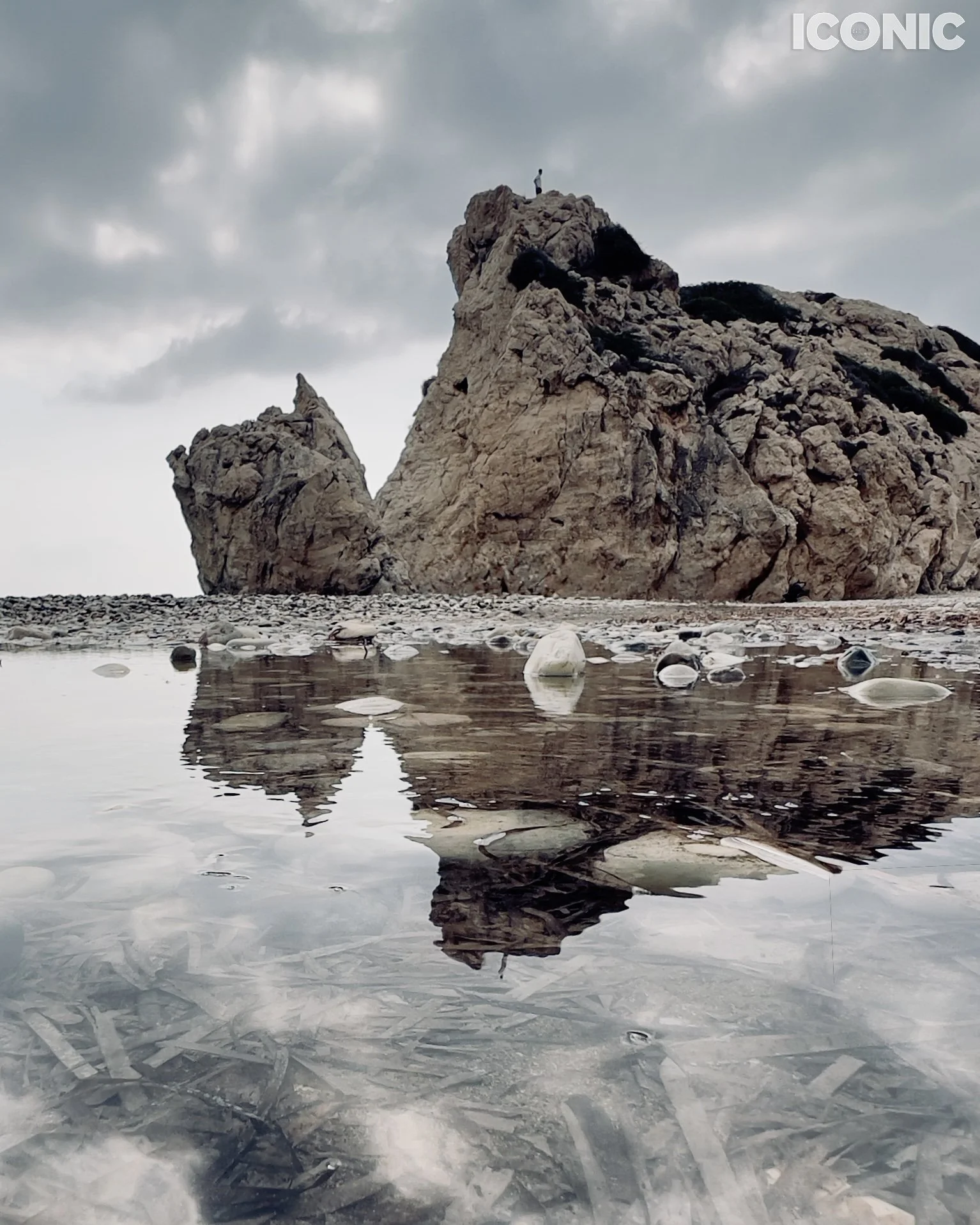 PHOTO BY
Olga Neff
.