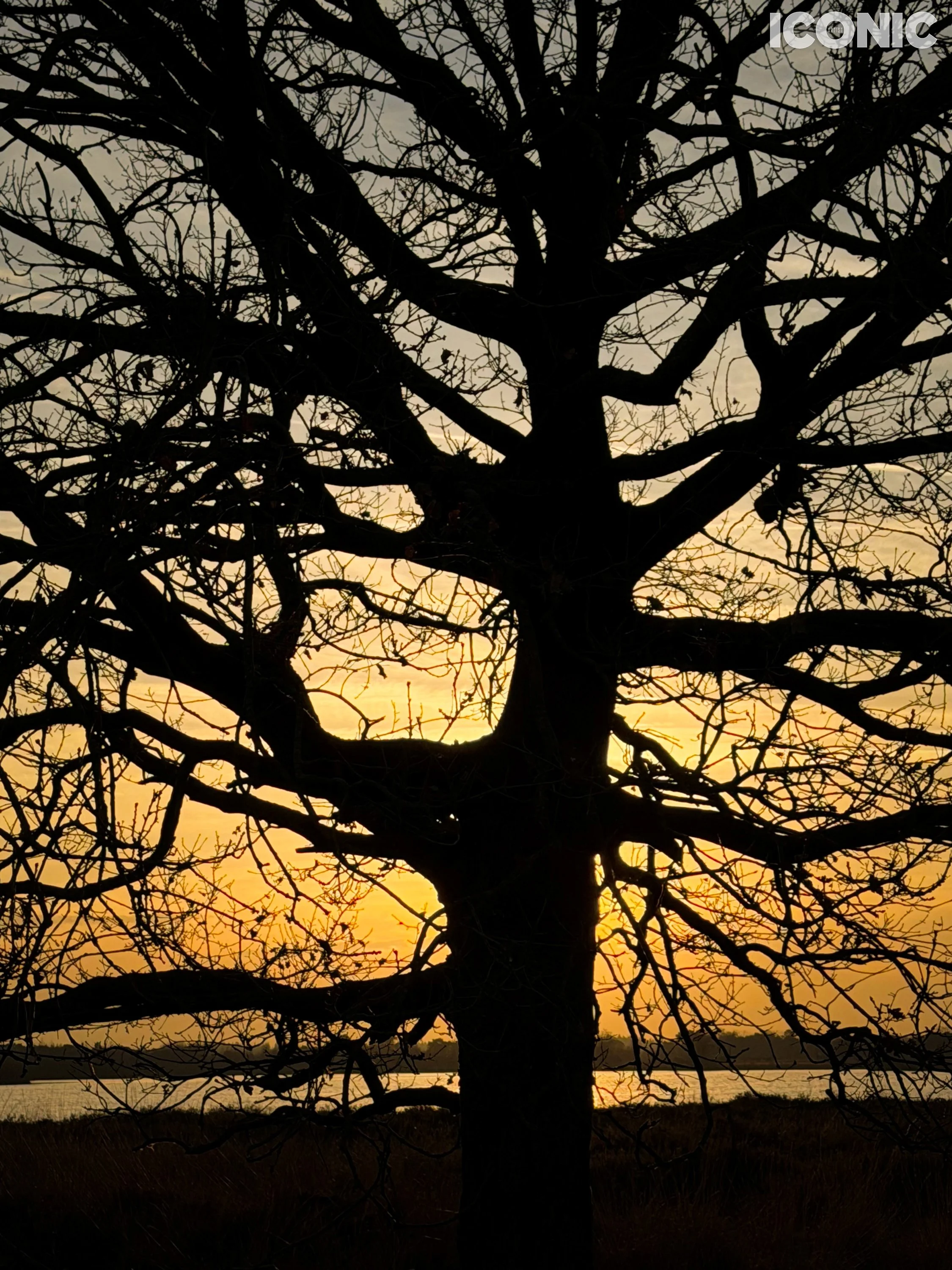 PHOTO BY
Milou Dirks
.