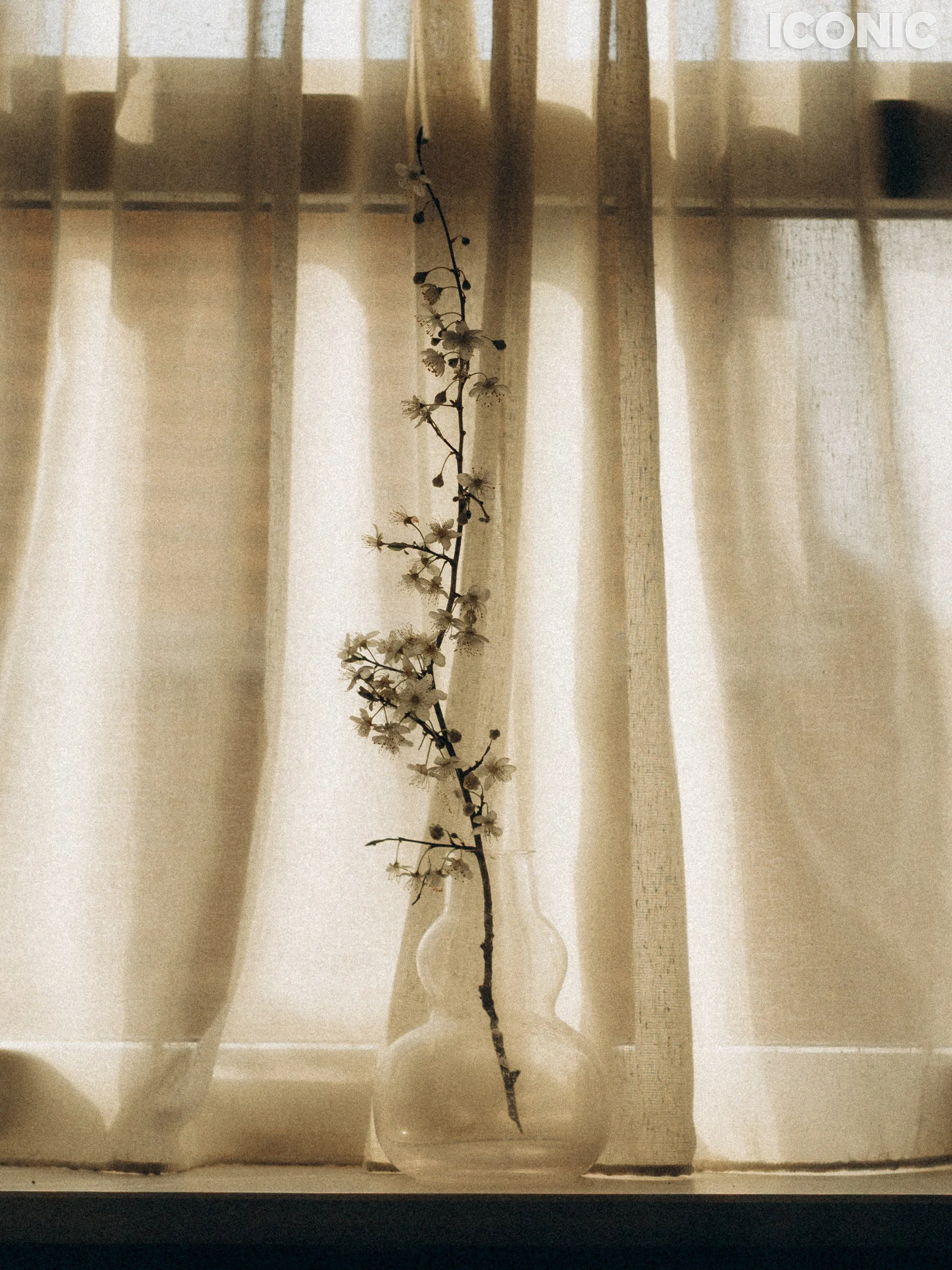 PHOTO BY
Julia Pashkova
.