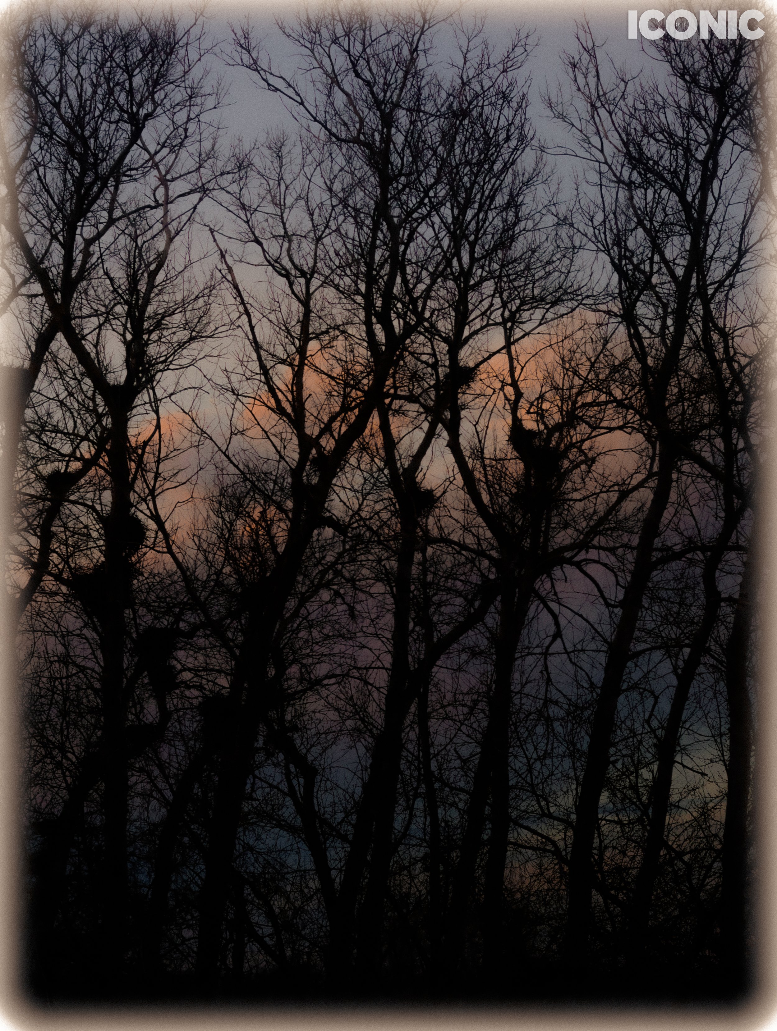 PHOTO BY
Zarina Jassybayeva
.