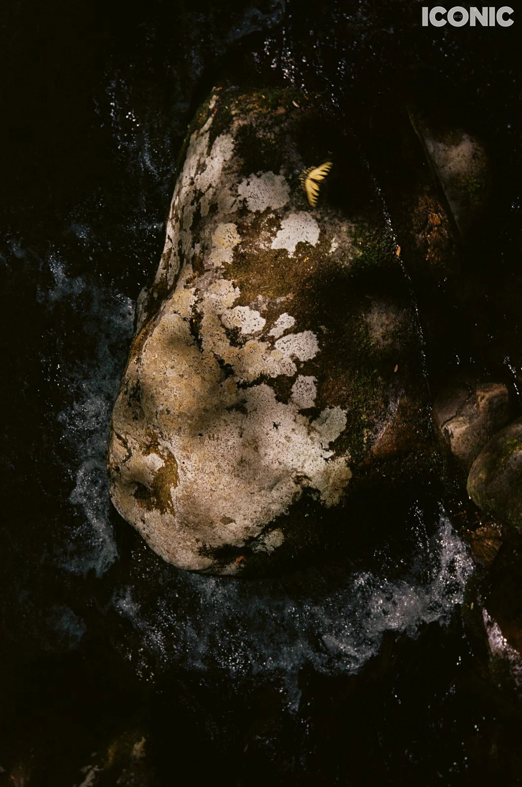 PHOTO BY
Anna Leonidov
.