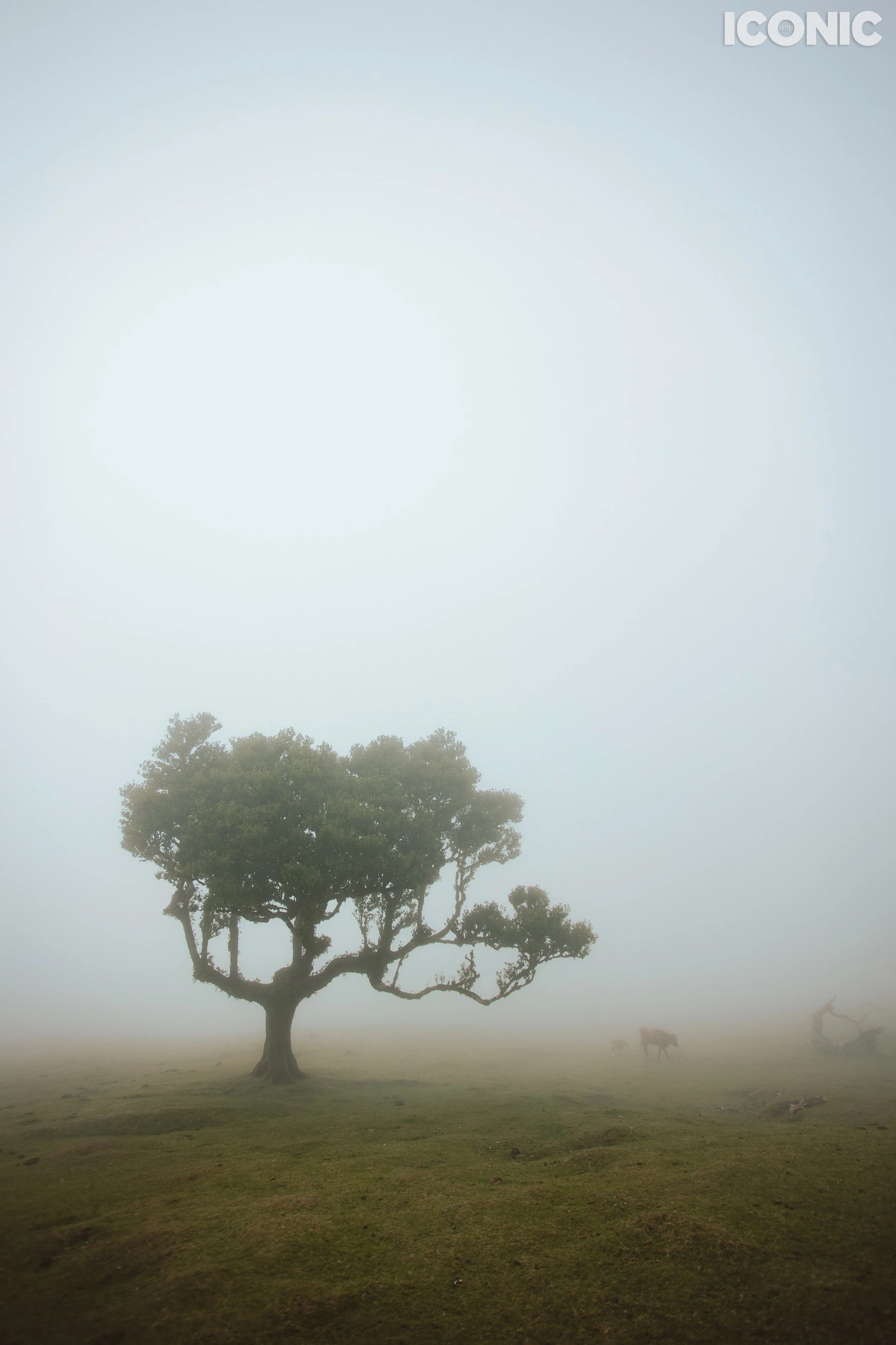 PHOTO BY
Tatiana Bigun
.