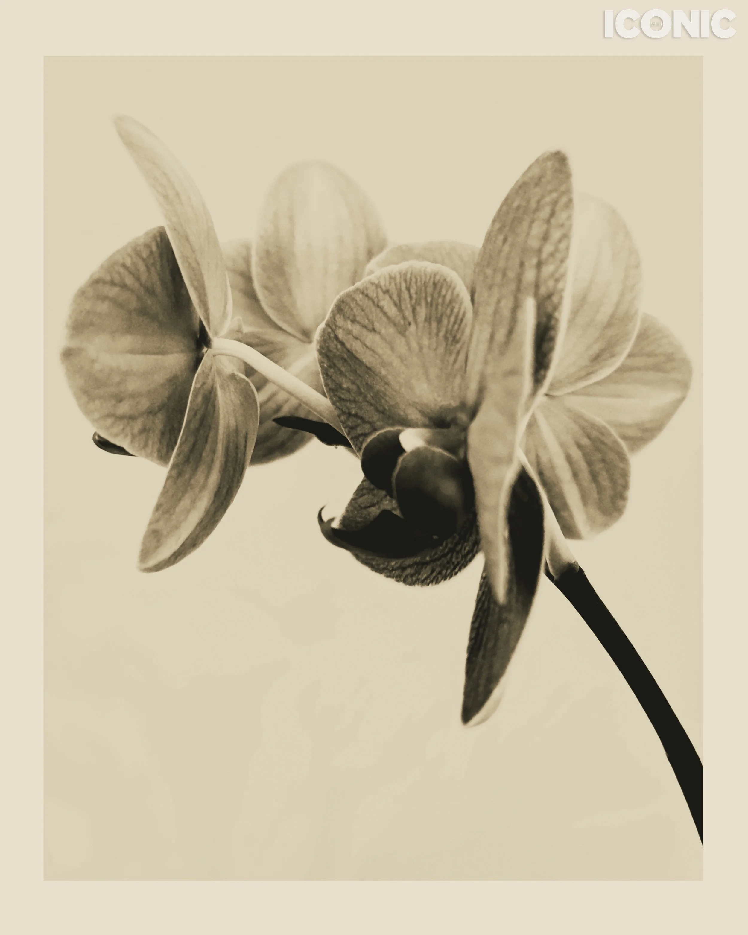 PHOTO BY
Marina Uglanova
.