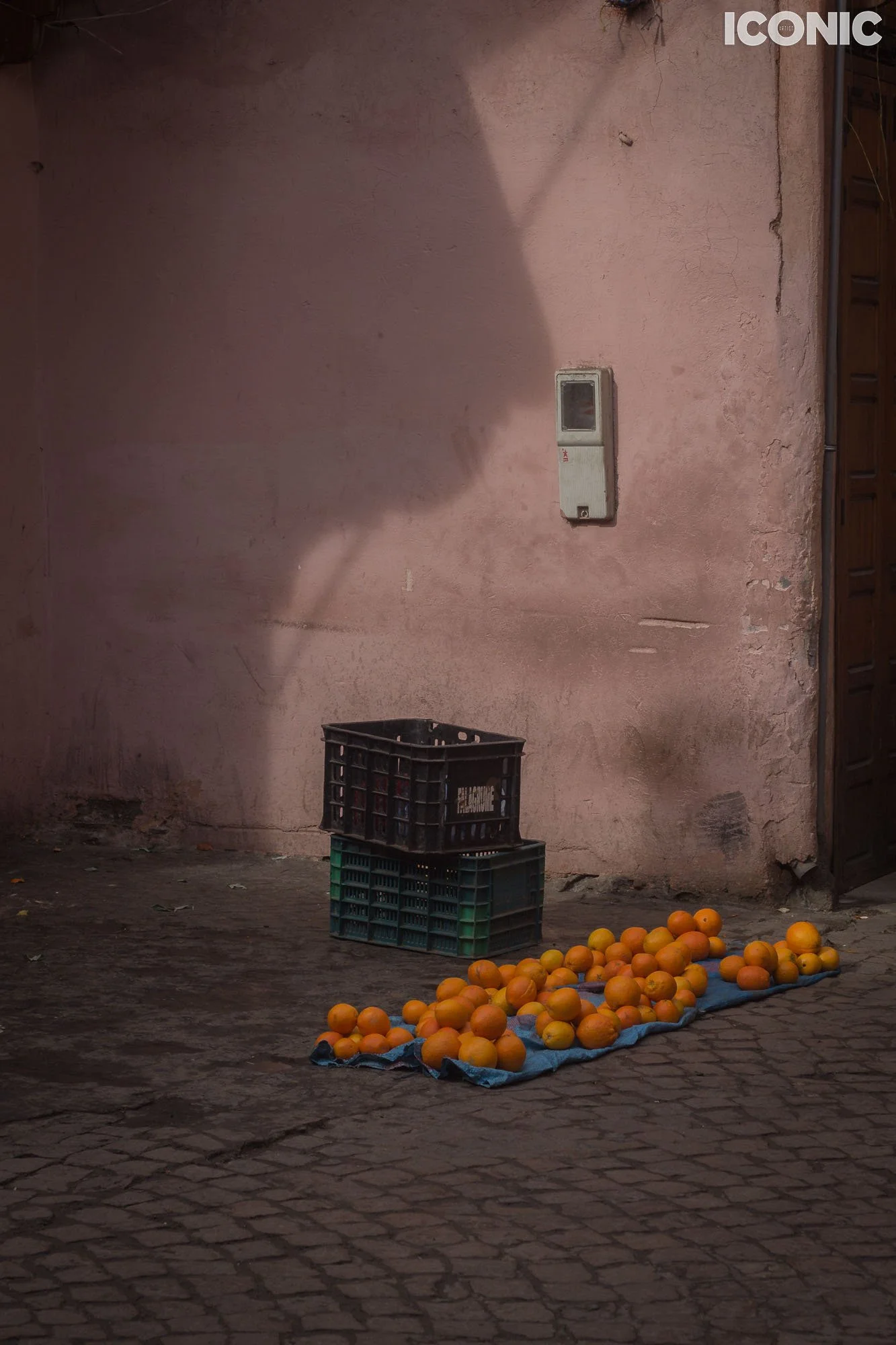 PHOTO BY
Rita Piludu
.