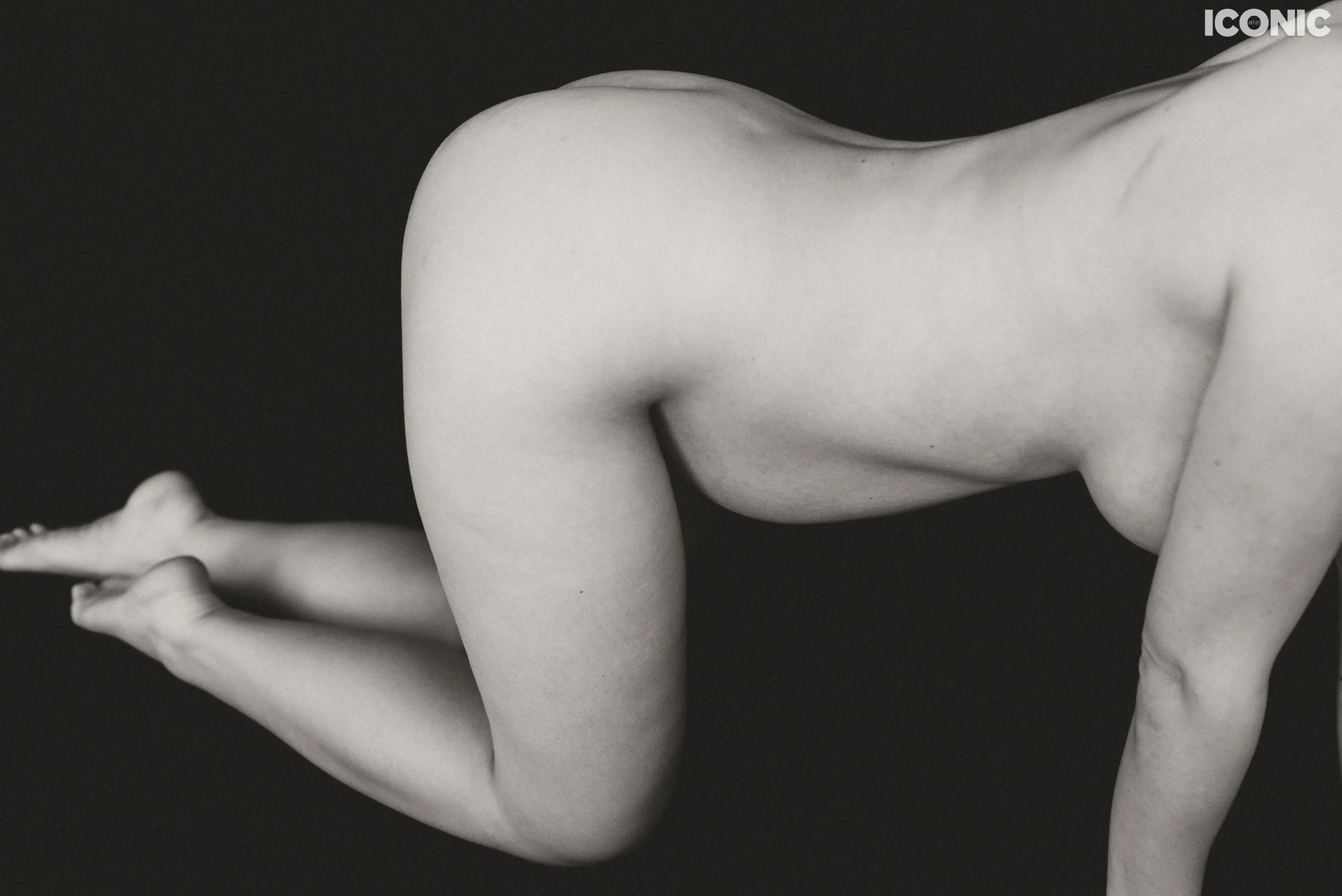 PHOTO BY
Svetlana Shmeleva
.