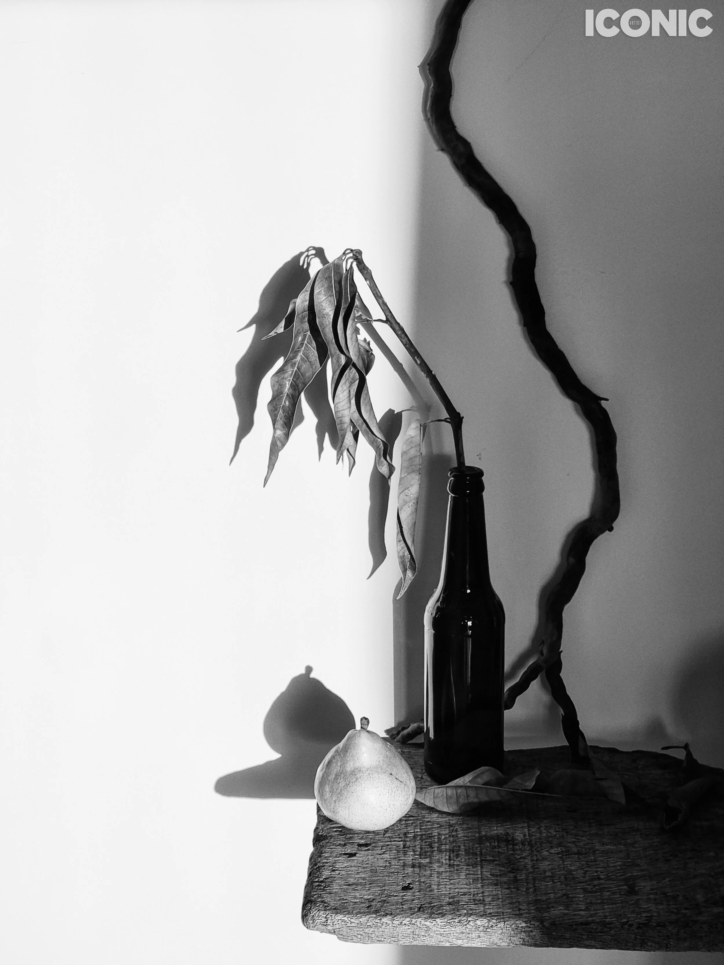 PHOTO BY
Maria Volnova
.