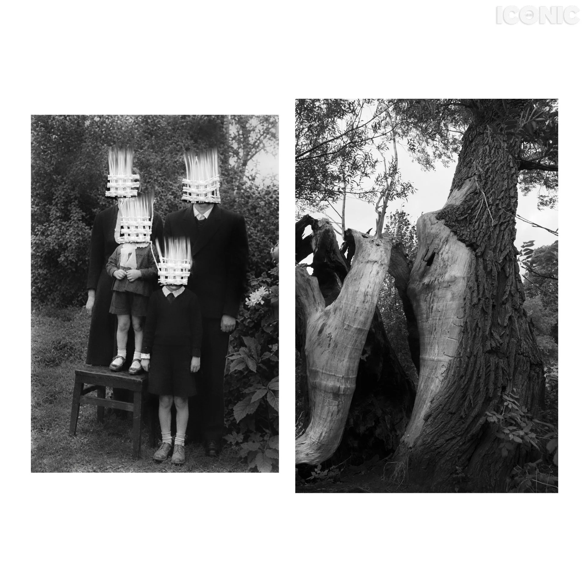 PHOTO BY
Ingrida Urbonavičienė
.