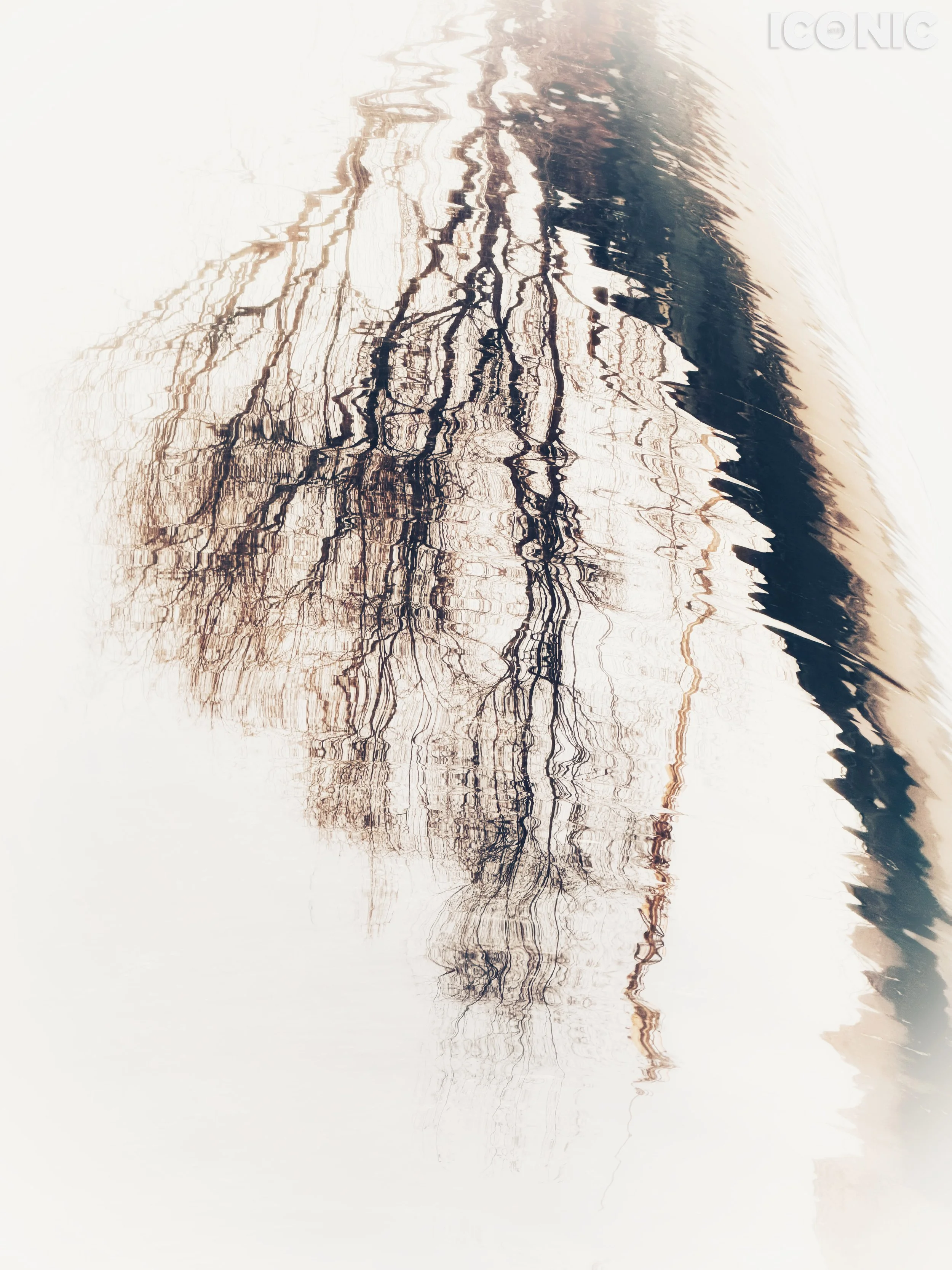 PHOTO BY
Tatyana Shevalye
.