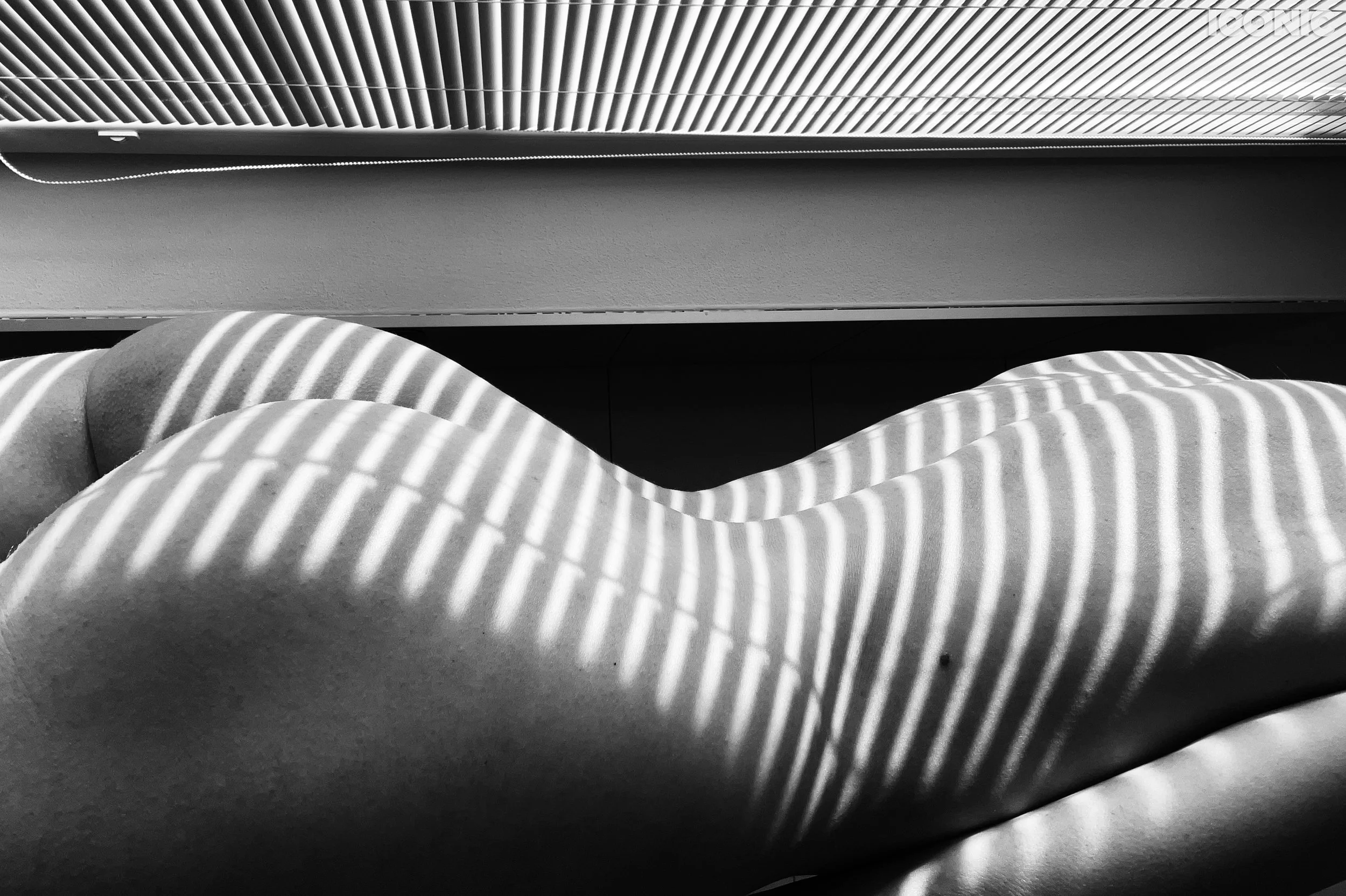 PHOTO BY
Yulia Doronina
.