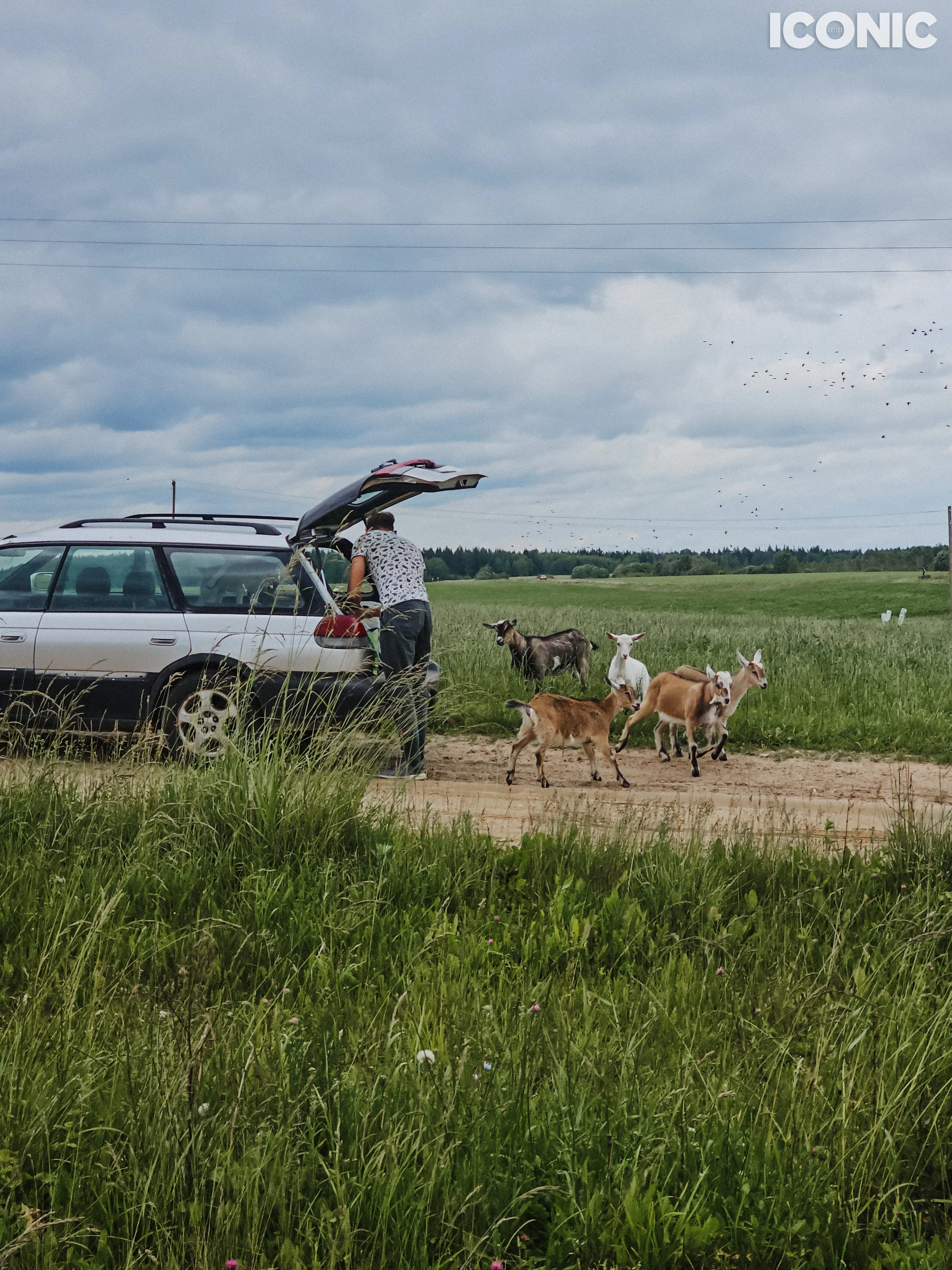 PHOTO BY
Olga Shishuk
.