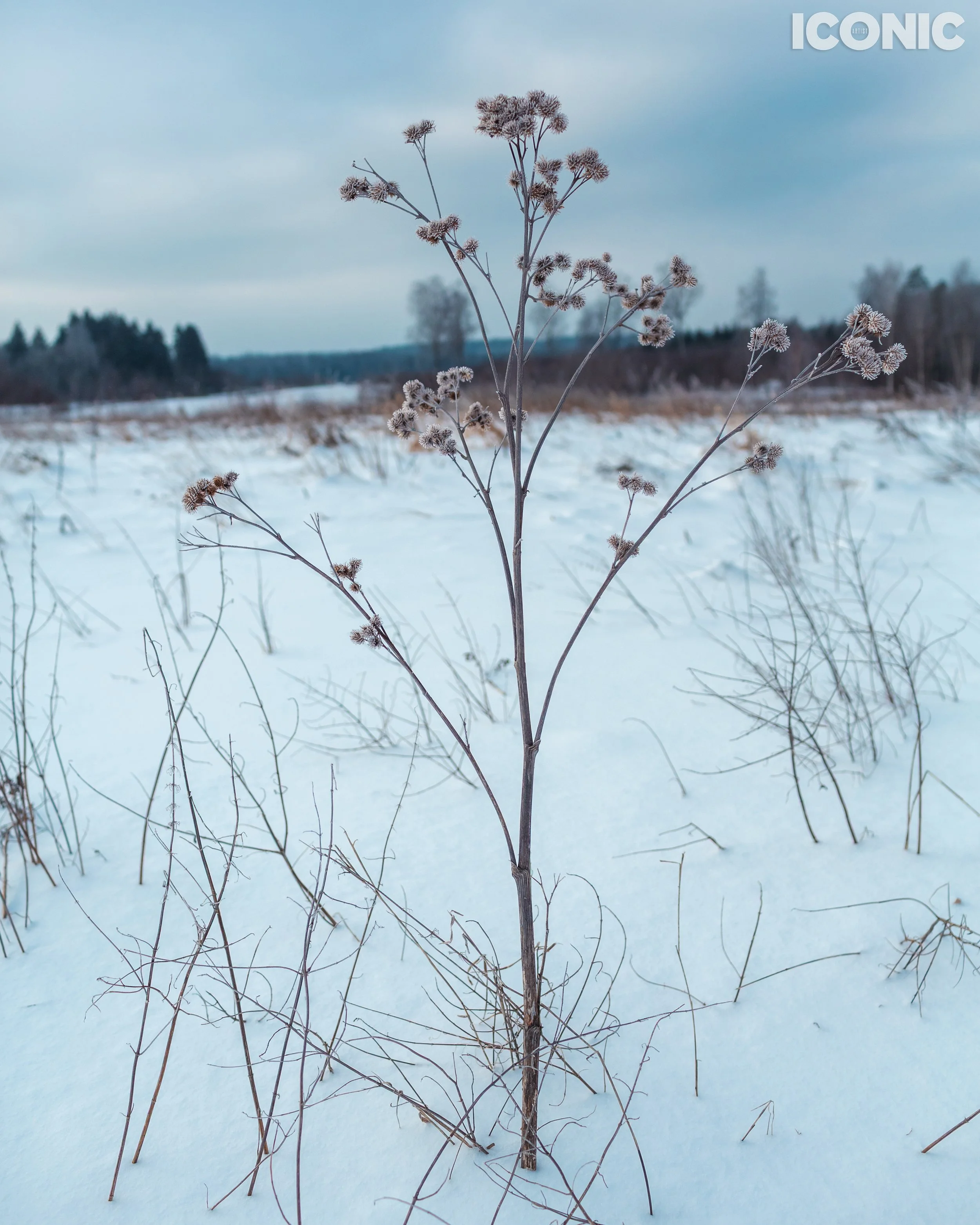 PHOTO BY
Igor Vatral
.