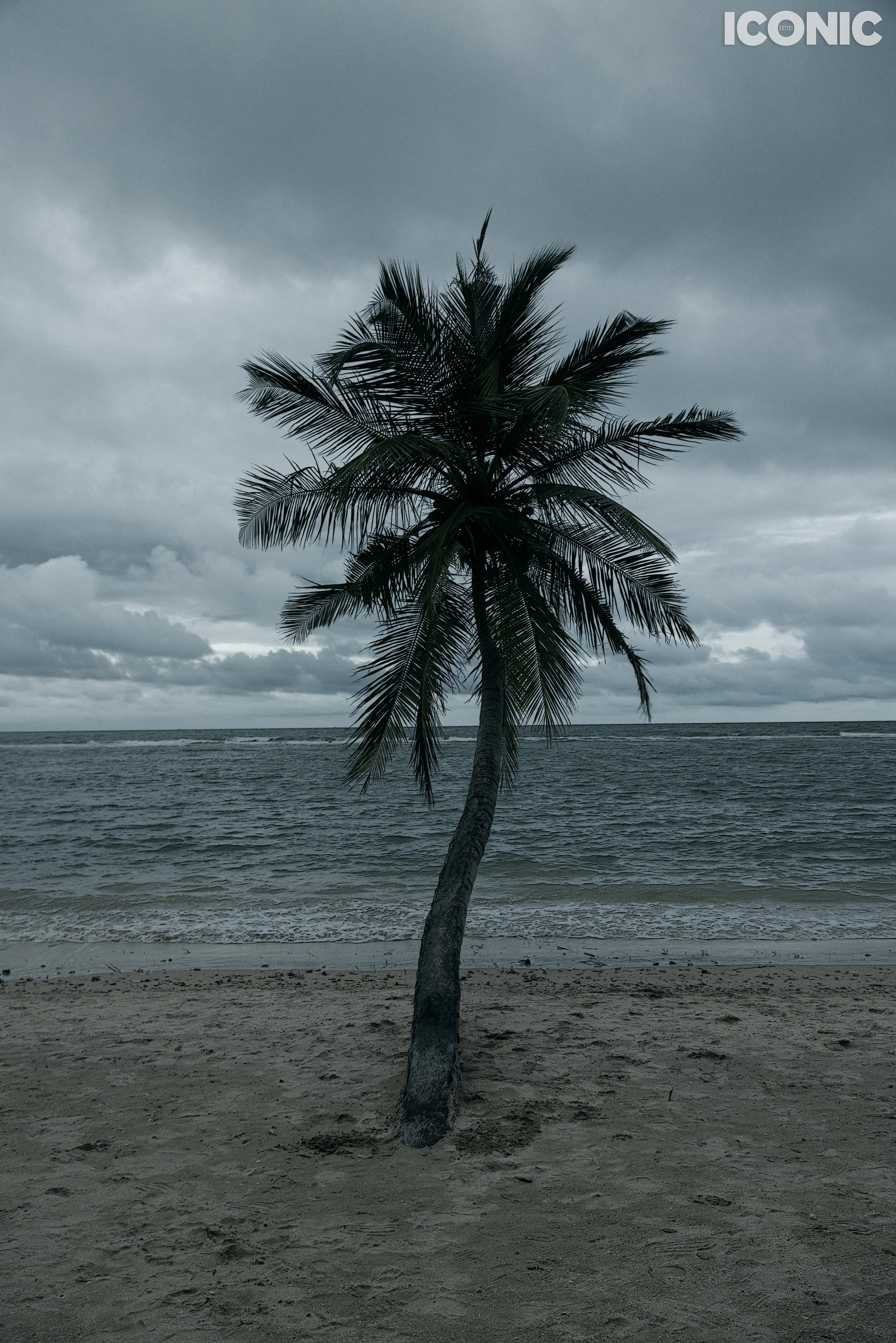 PHOTO BY
Ekaterina Kott
.