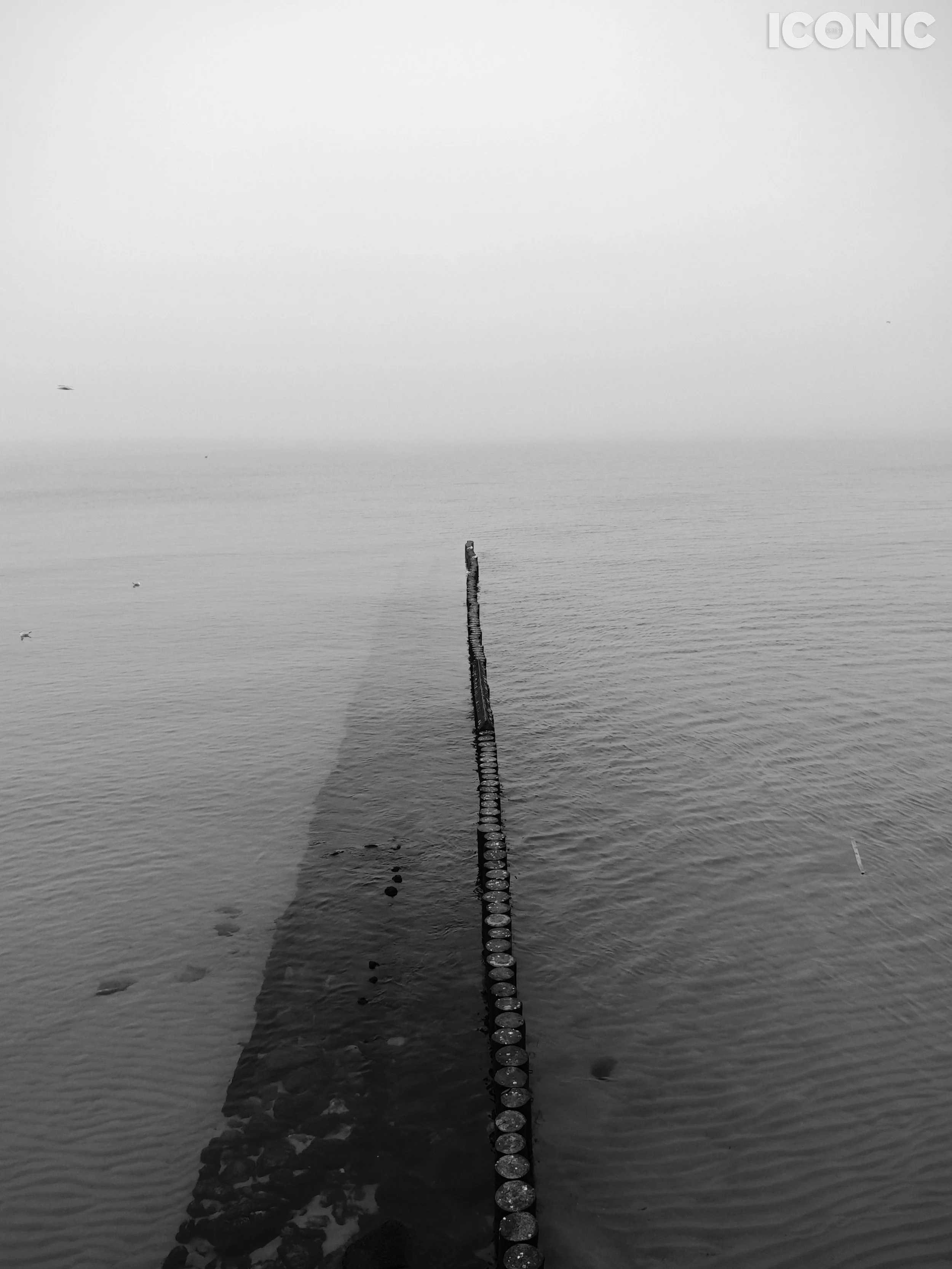 PHOTO BY
Anastasiya Galichkina
.